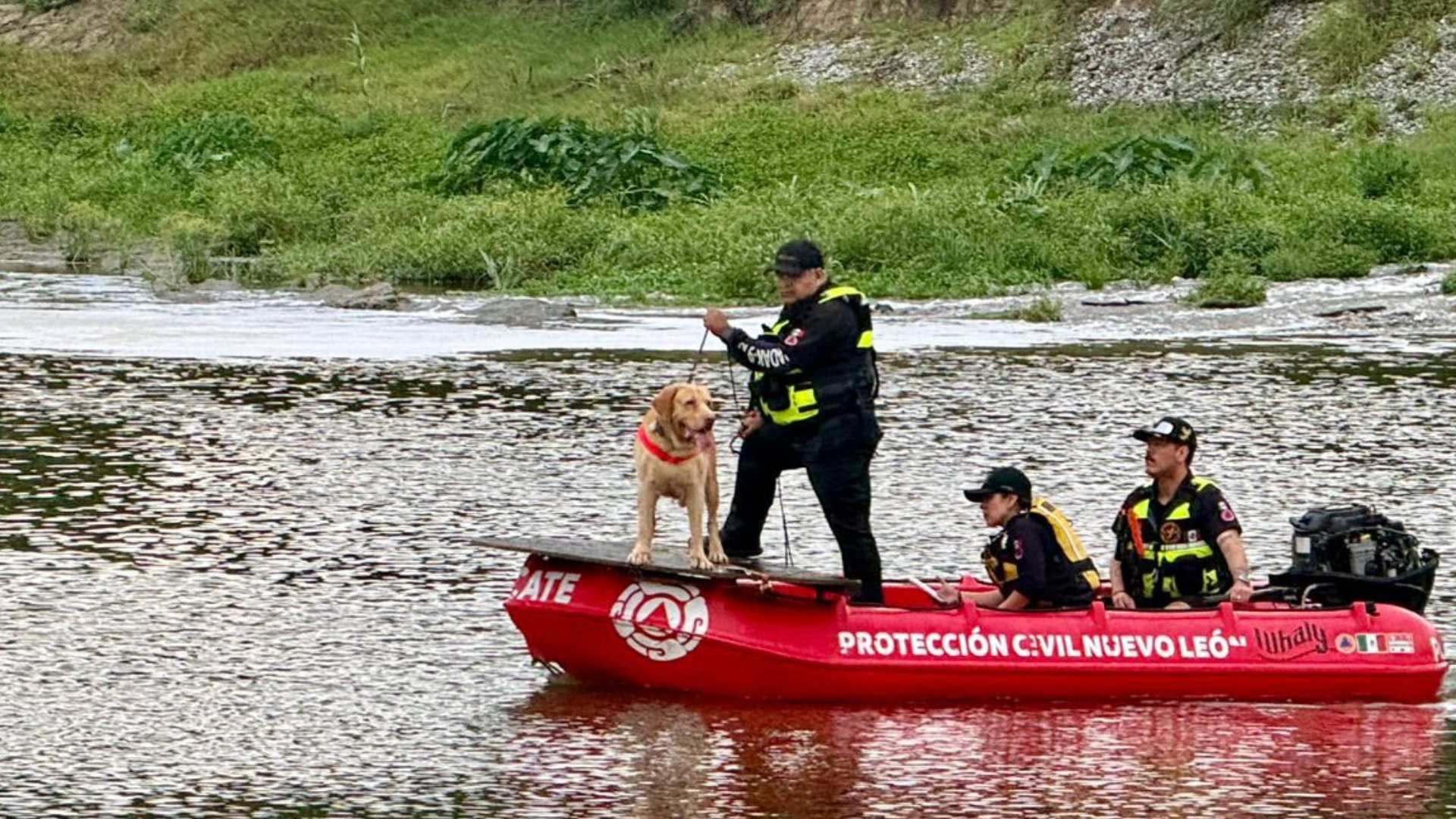 Operativo de búsqueda en río