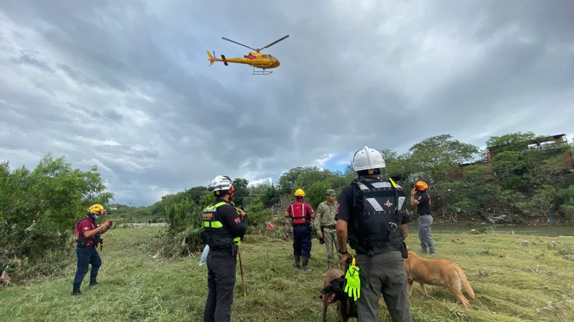 Protección Civil y caninos buscan a hombre en río Pesquería