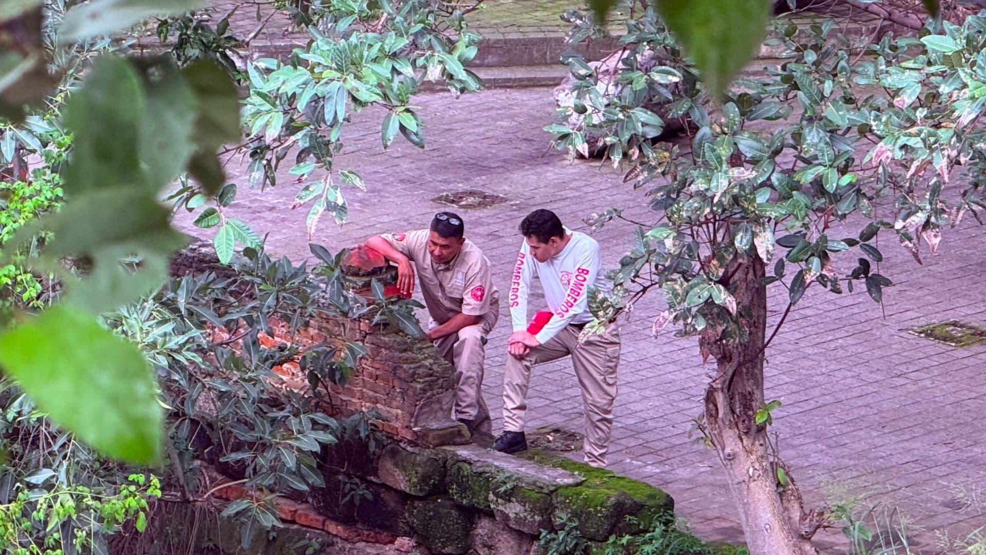 Buscan a menor arrastrado por la corriente