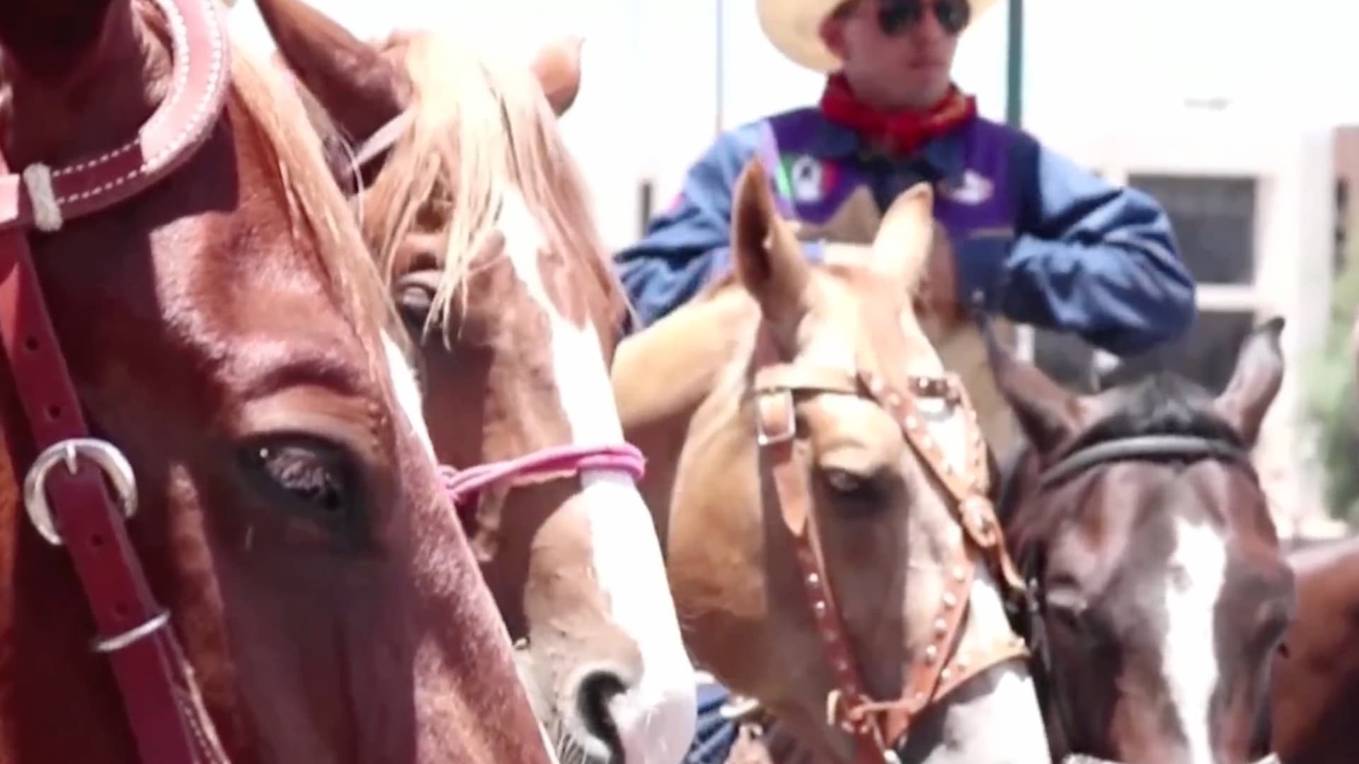 Cabalgata Villista