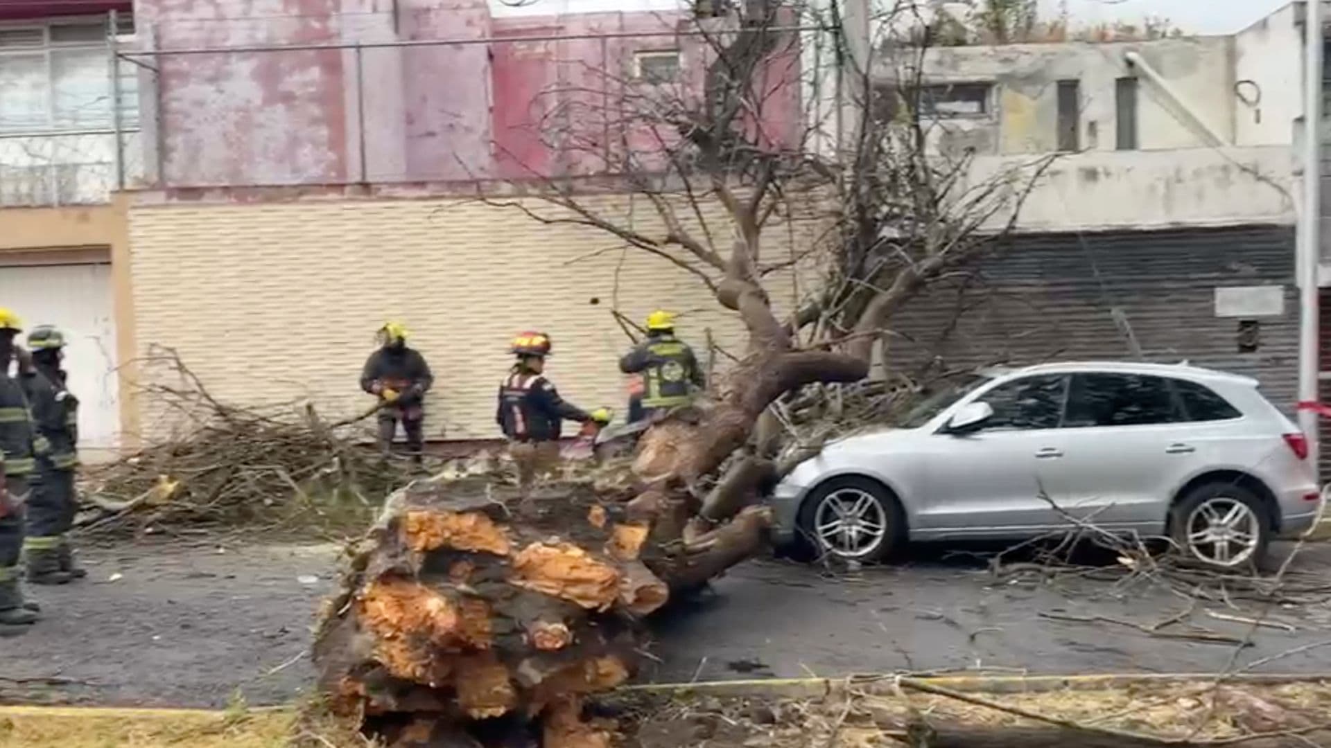 Árbol Caído Automóvil Dos Viviendas Calle Madrid Bulevar 5 de Mayo Puebla