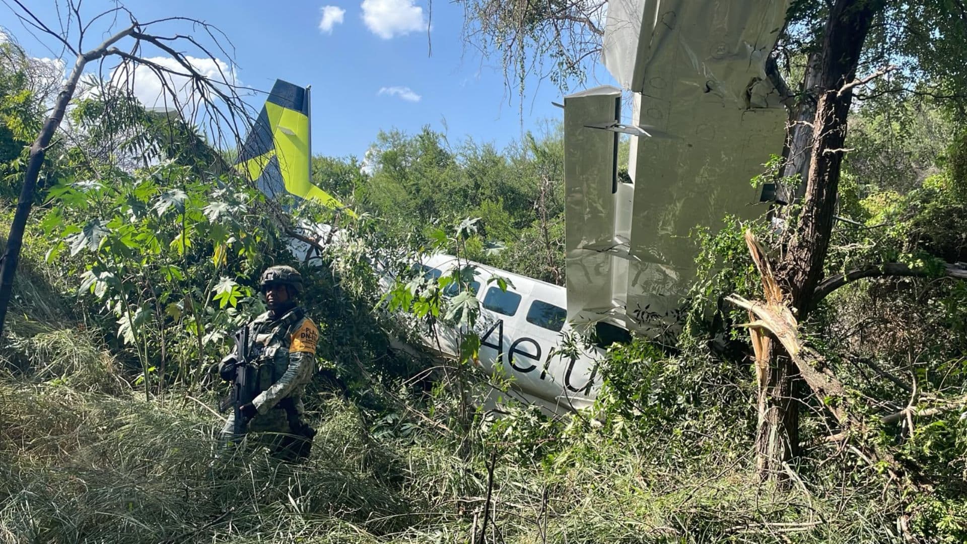 Caída de aeronave
