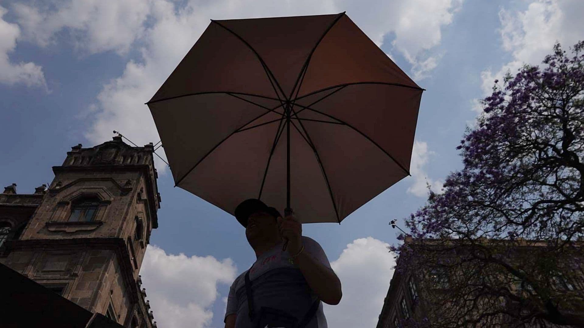 Una persona se protege del sol con un paraguas en la Ciudad de México en marzo de 2025. Foto: Cuartoscuro