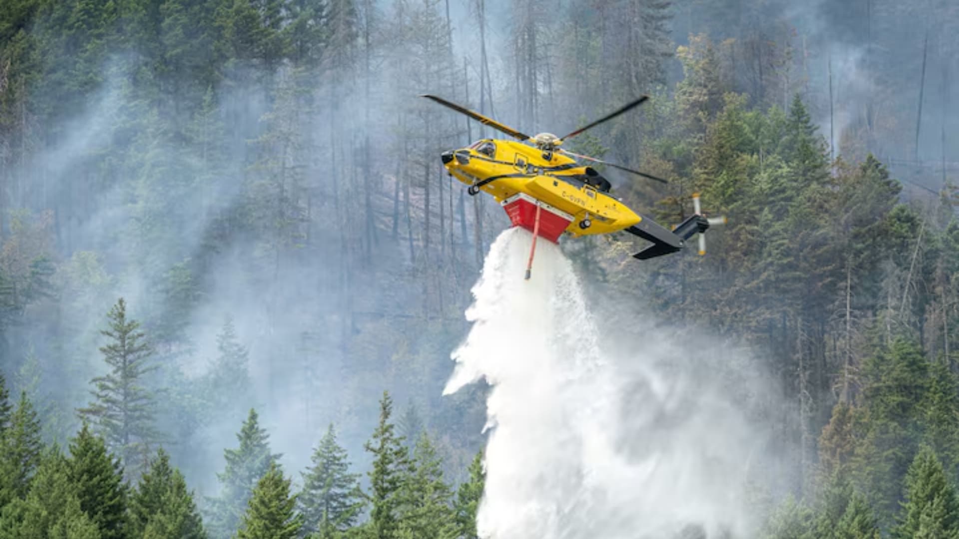 ¿Qué Provocan los Incendios Forestales en Canadá?