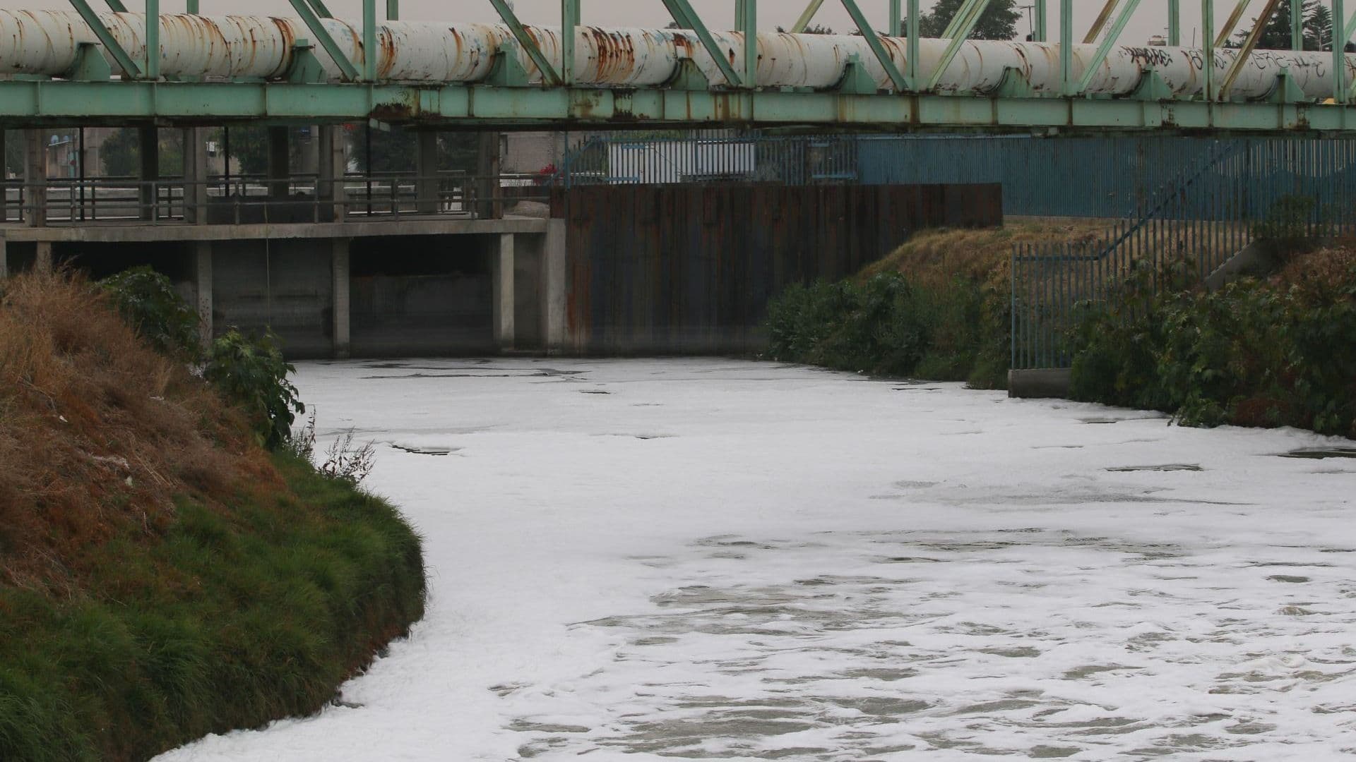 canal de la compañía