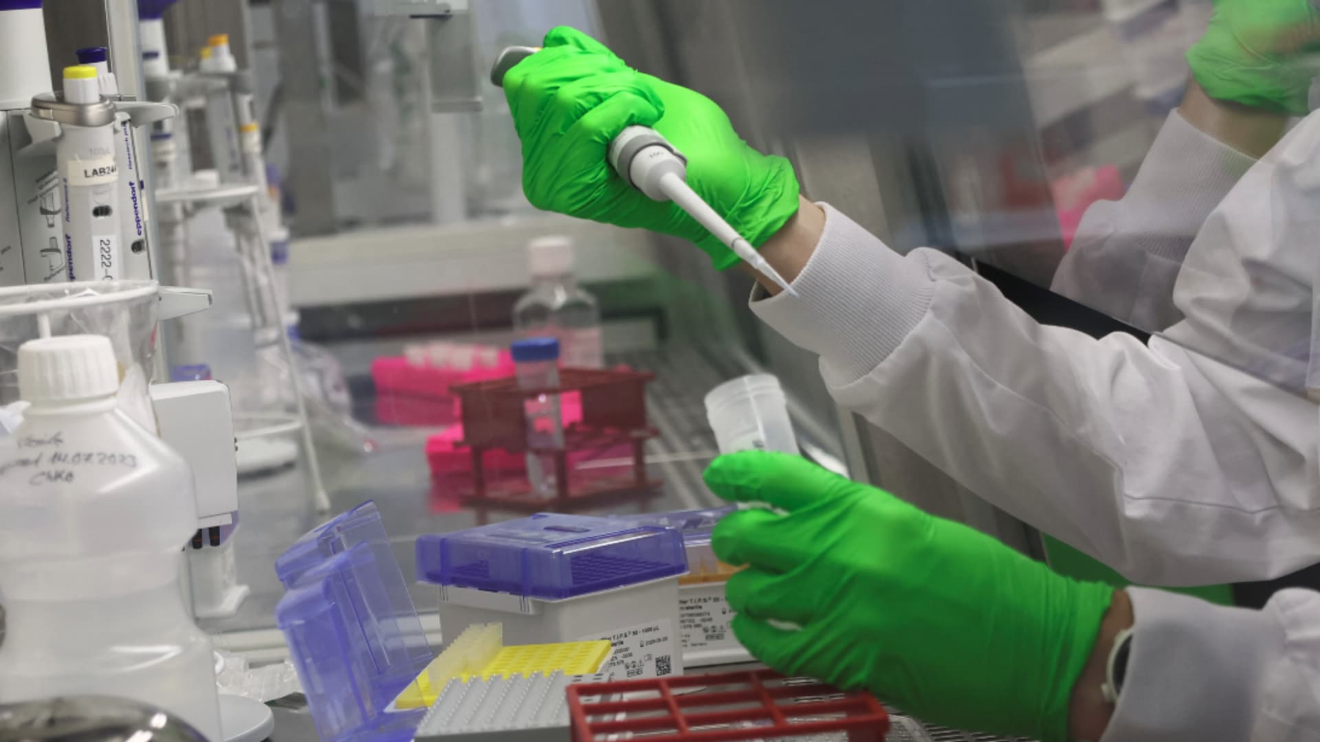 Caen Acciones de Farmacéuticas tras Ensayo Positivo de Vacuna contra Cáncer