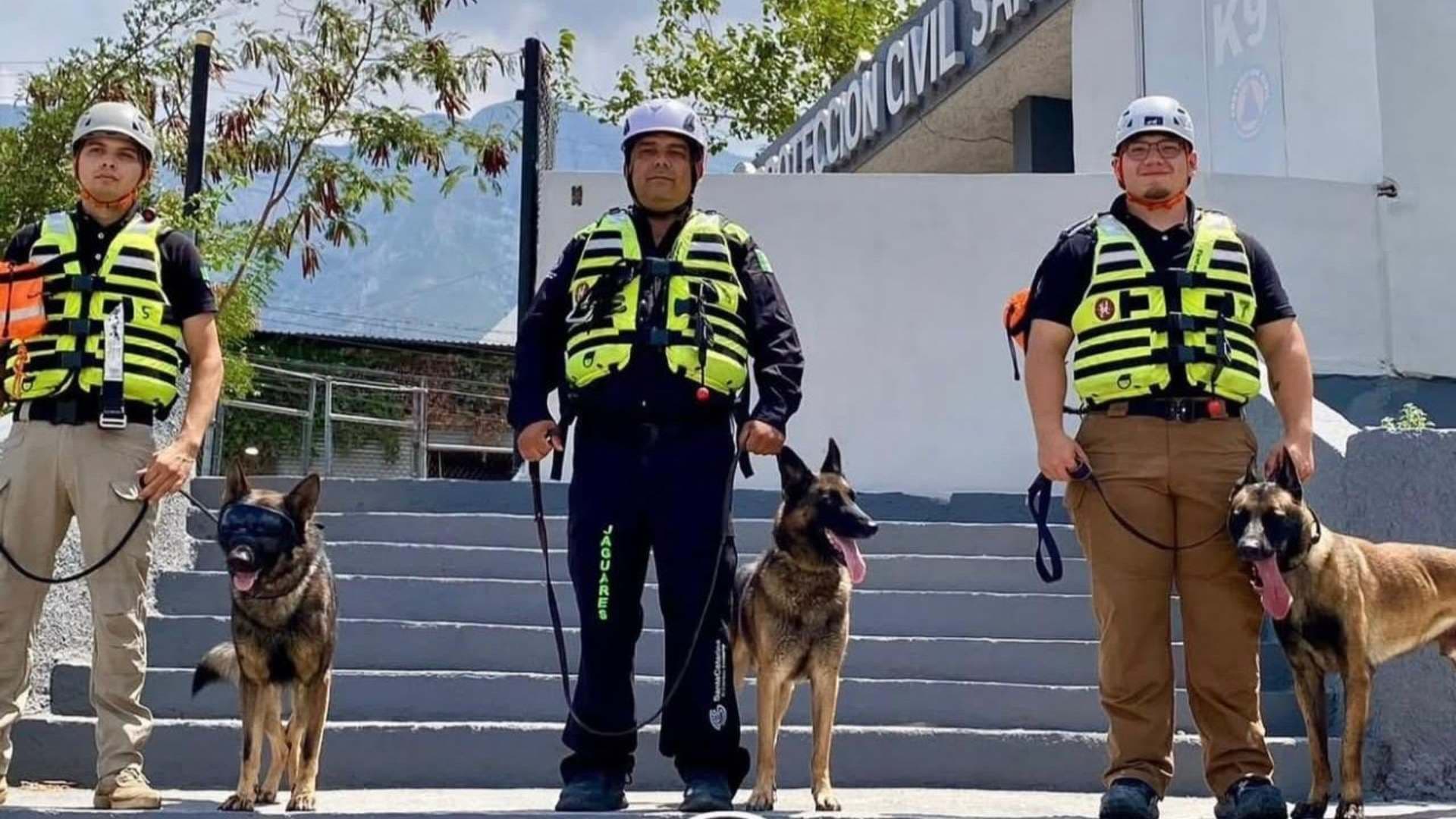Binomios K9 que viajarán a Venezuela para labores de rescate