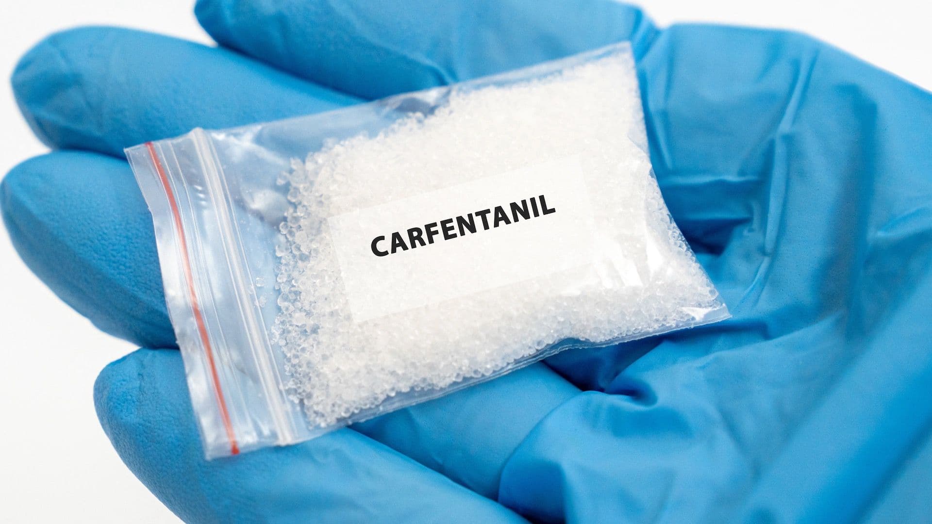 Alerta por Carfentanilo: Por Qué Es Tan Peligroso y Cuál Es la Diferencia con el Fentanilo