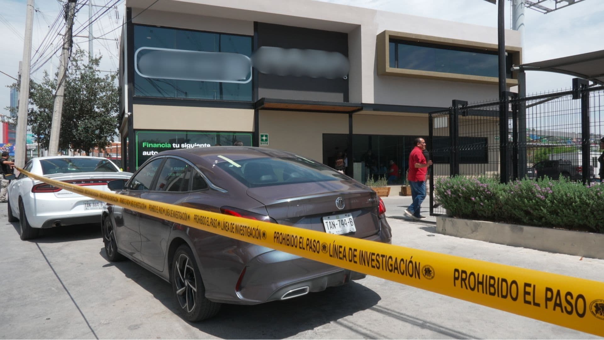 Cateo en lote de autos