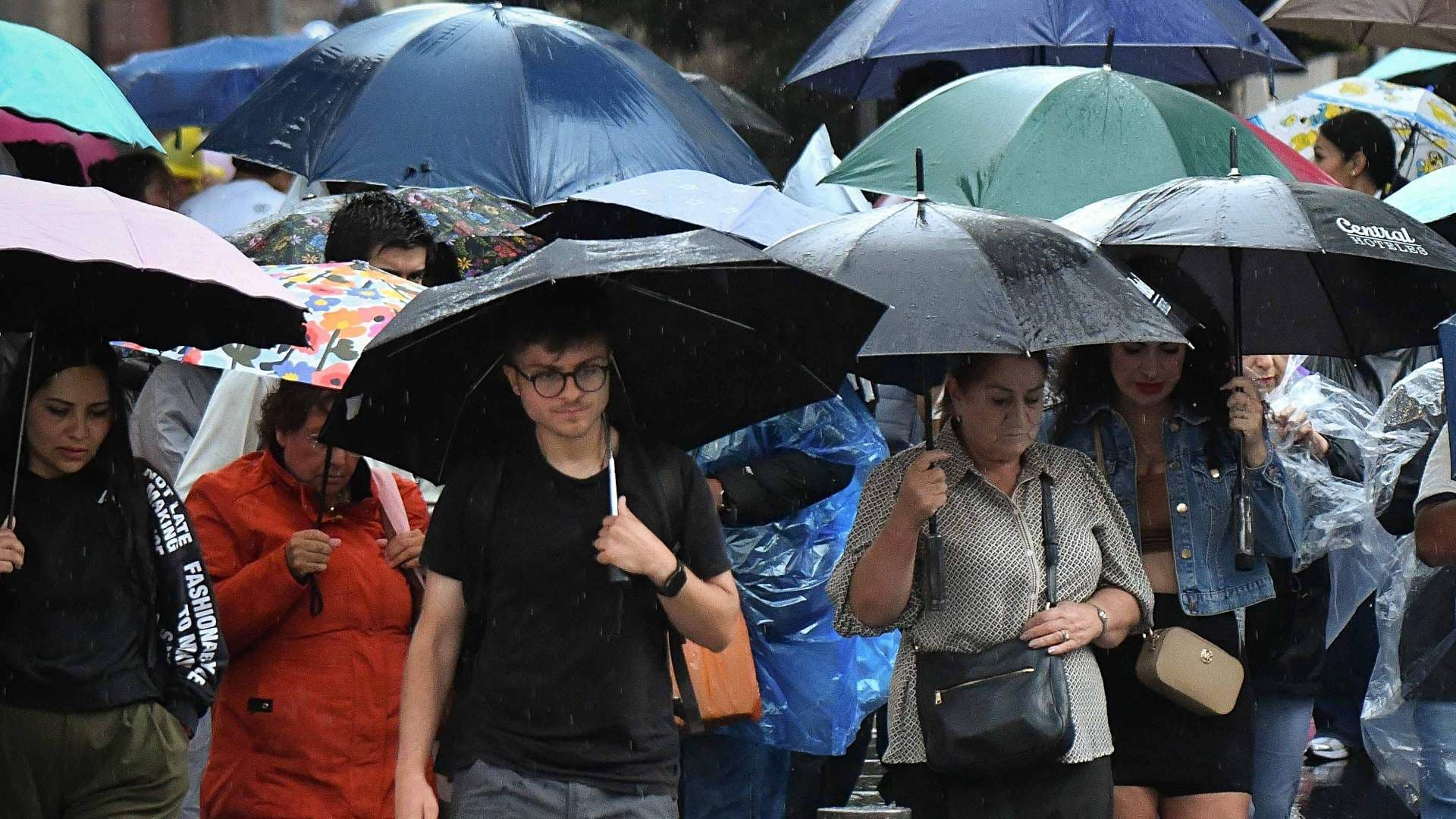 Grupo de personas usa paraguas para protegerse de la lluvias en CDMX el 14 de junio de 2026. Foto: Cuartoscuro | Archivo