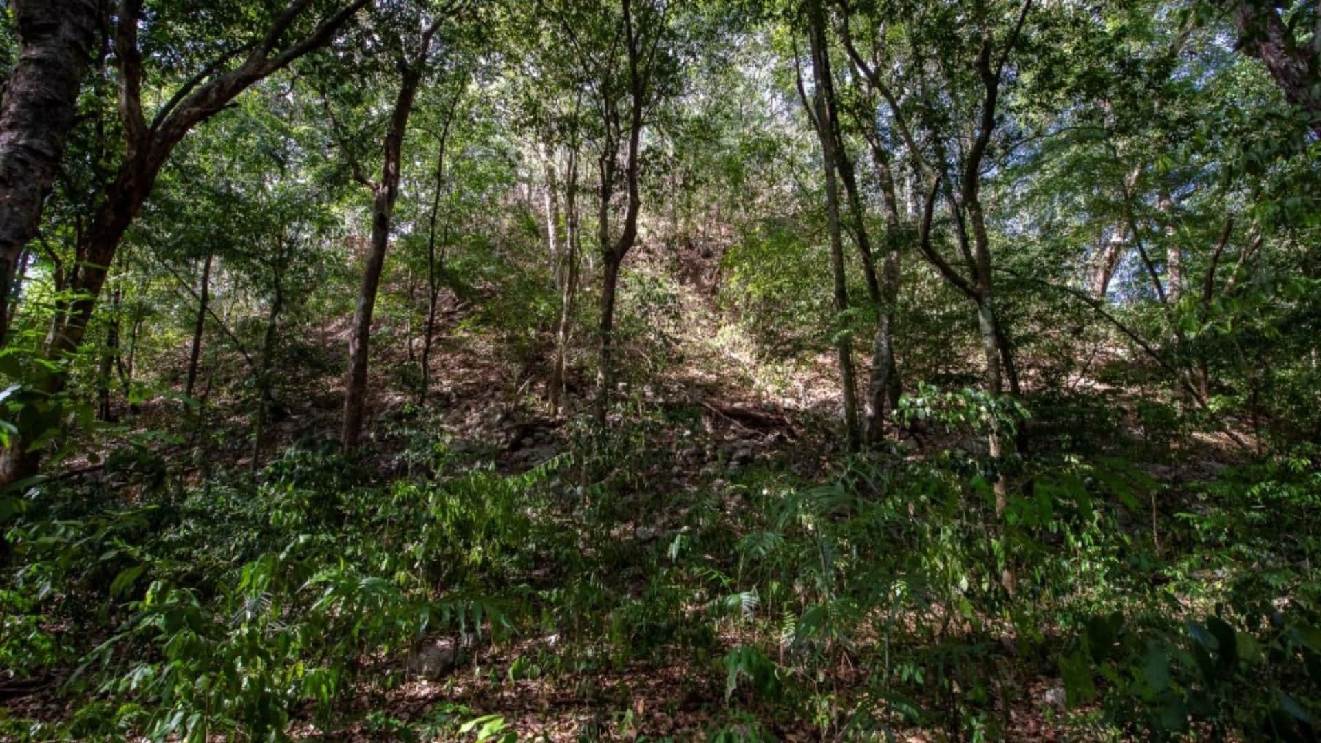 El Yesal, ciudad maya en Campeche