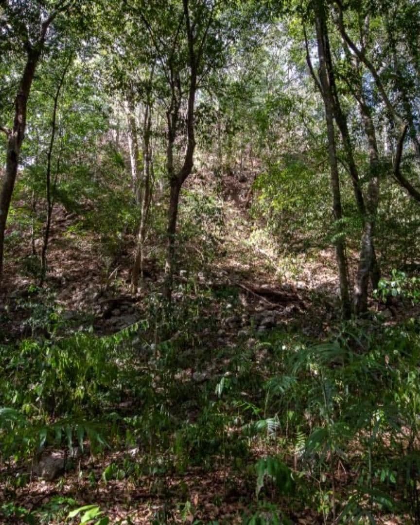El Yesal, ciudad maya en Campeche