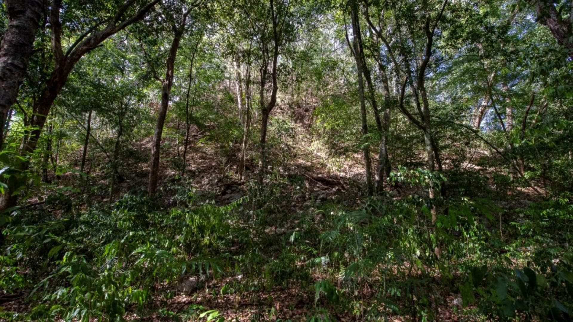 El Yesal, ciudad maya en Campeche
