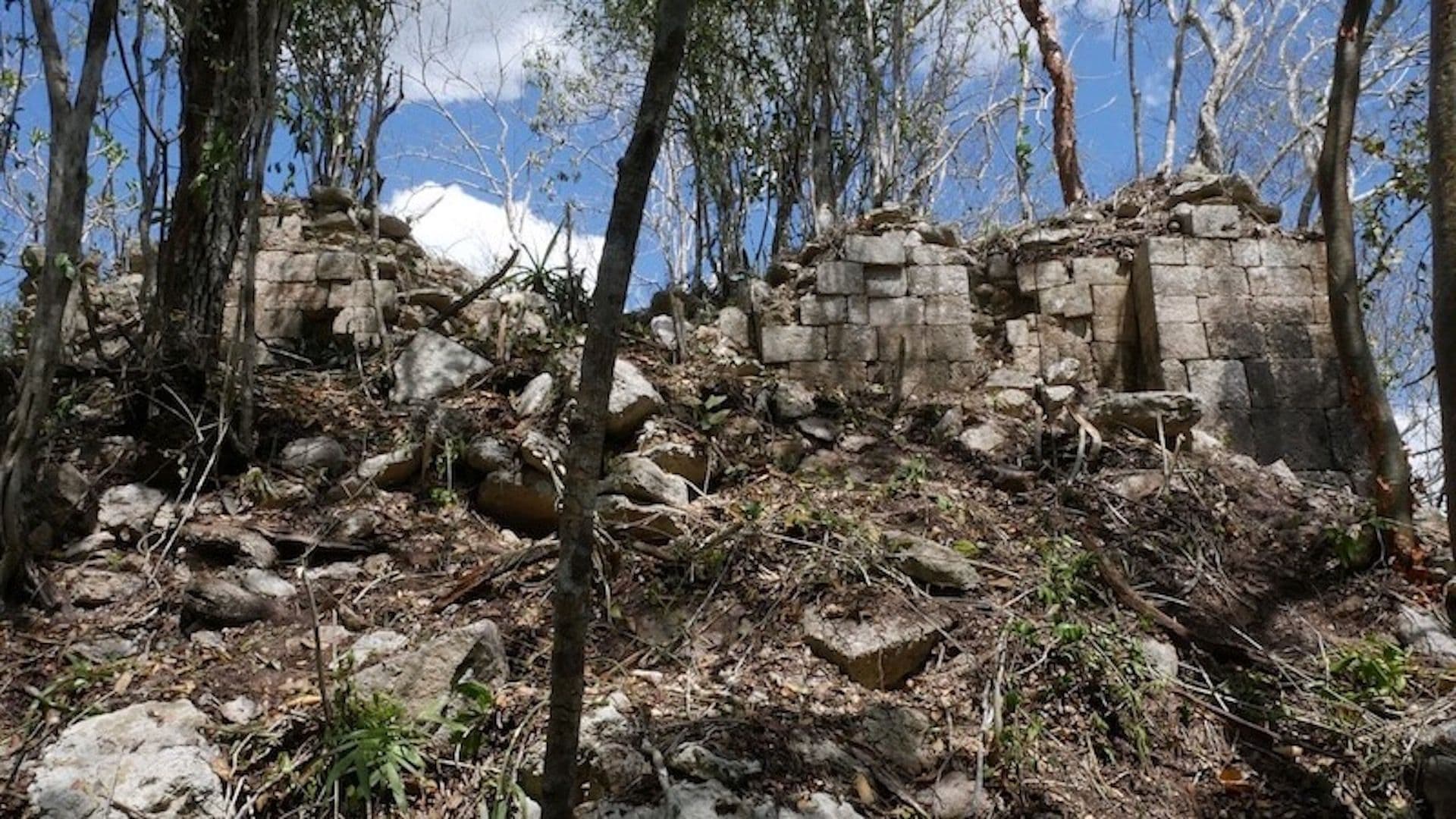 Minanbé, una ciudad maya descubierta en Campeche