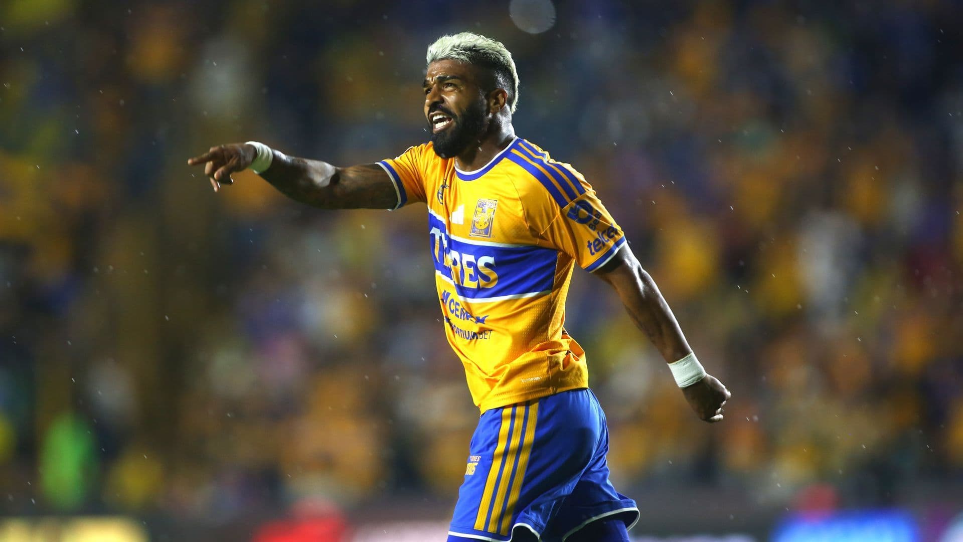 Jugador de Tigres