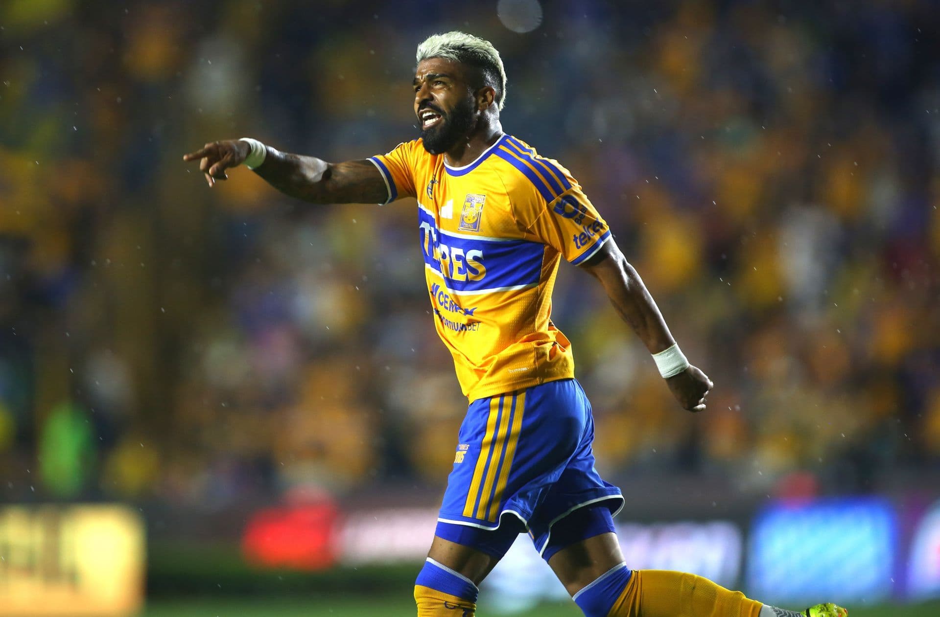 Jugador de Tigres
