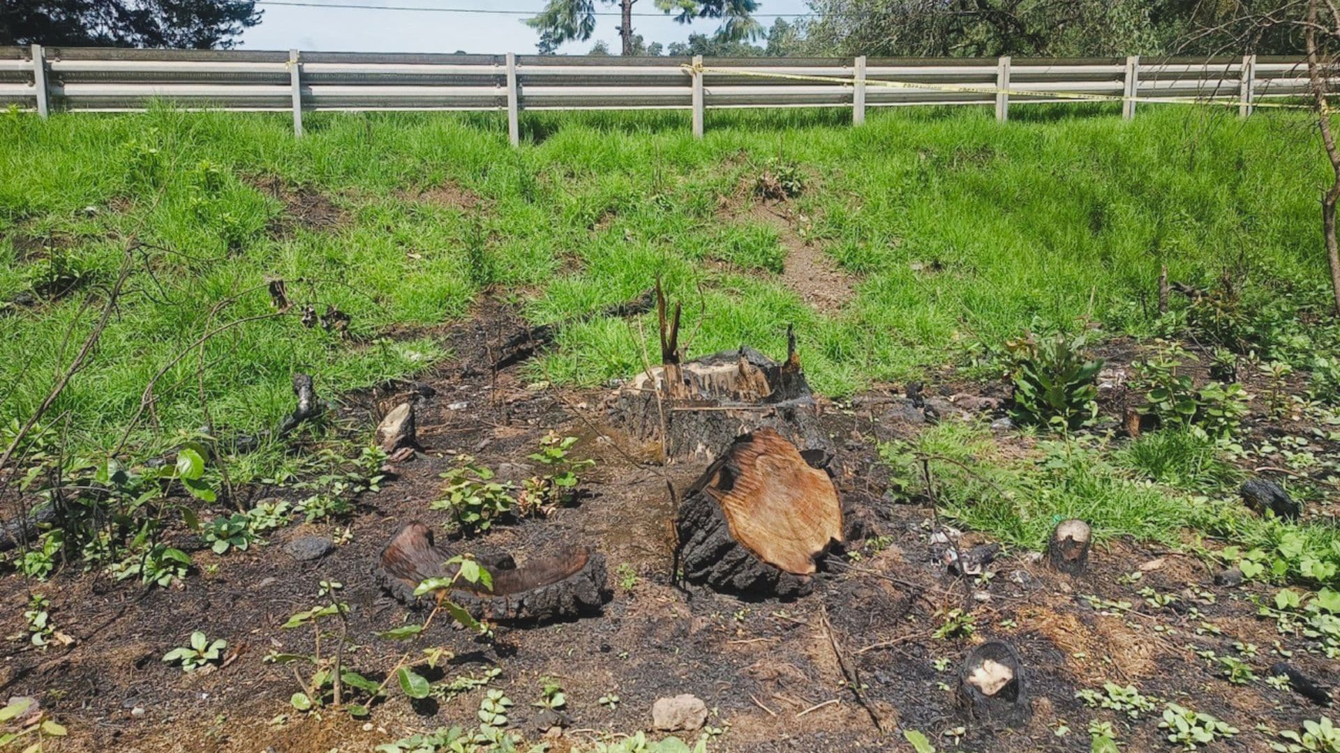 Clausuran Construcción de Lotes que Dañaría al Medio Ambiente en Zacatlán, Puebla