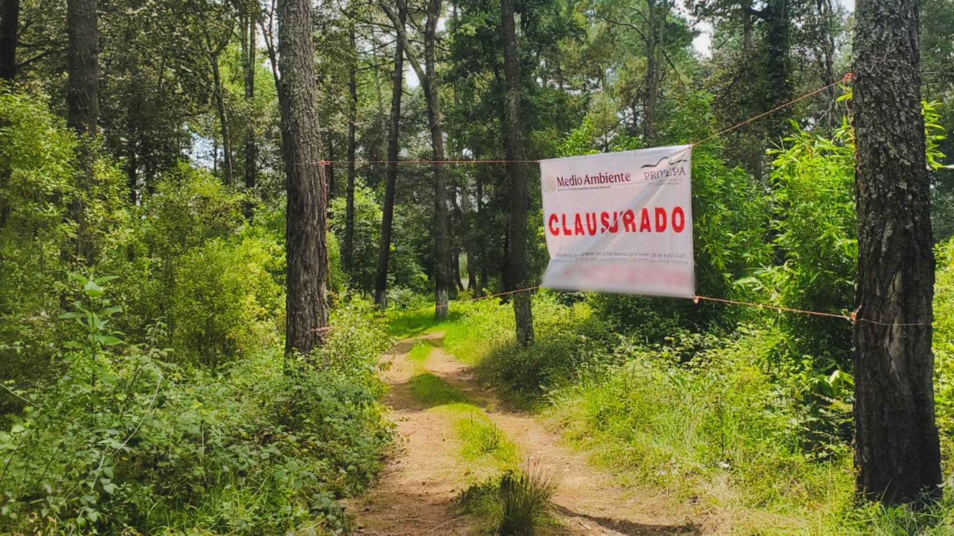 Clausura Total Dos Predios Proyecto Inmobiliario Ilegal Maquixtla Zacatlán Sierra Norte Puebla