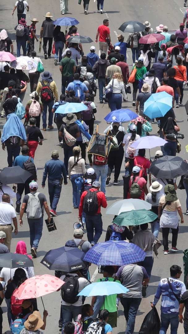 ¿De Qué Calle a Qué Calle se Extenderá Megaplantón de CNTE? Alternativas Viales