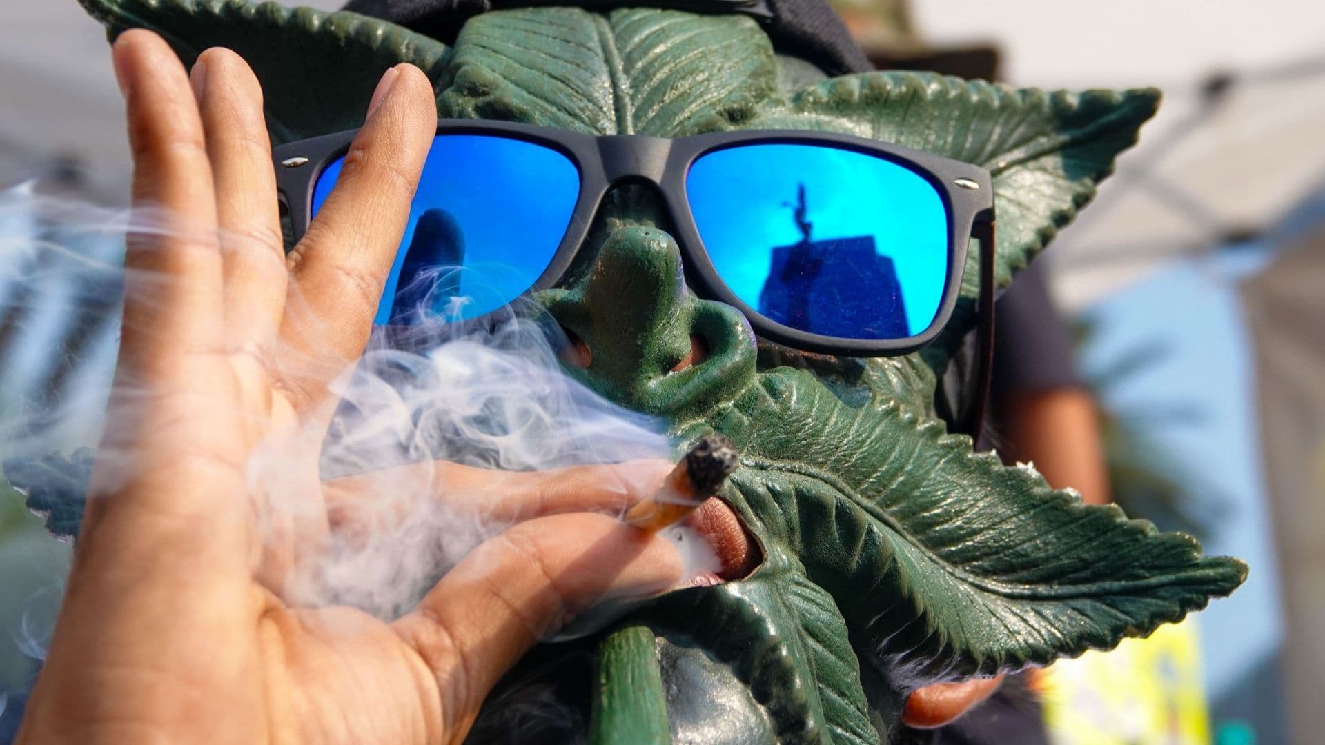 La Cofrepris acata la resolución de la SCJN en materia del autoconsumo de la cannabis