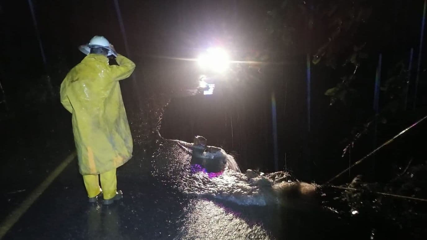 Maquinaria de la Secretaría de Infraestructura acudirá para realizar labores en la zona.