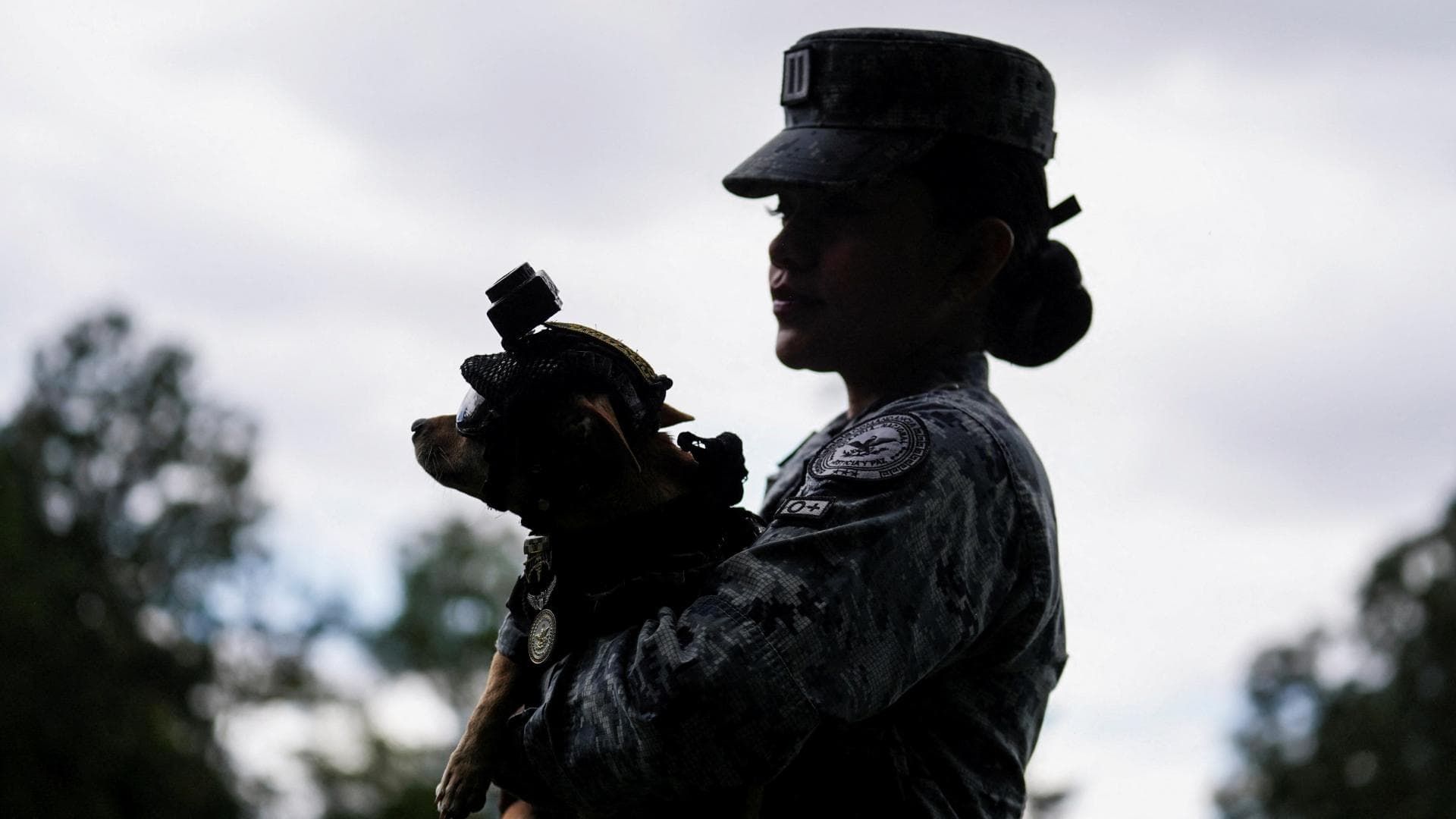 La teniente Débora Hernández sostiene a Comando, un chihuahua adoptado por la Guardia Nacional. Foto: Reuters