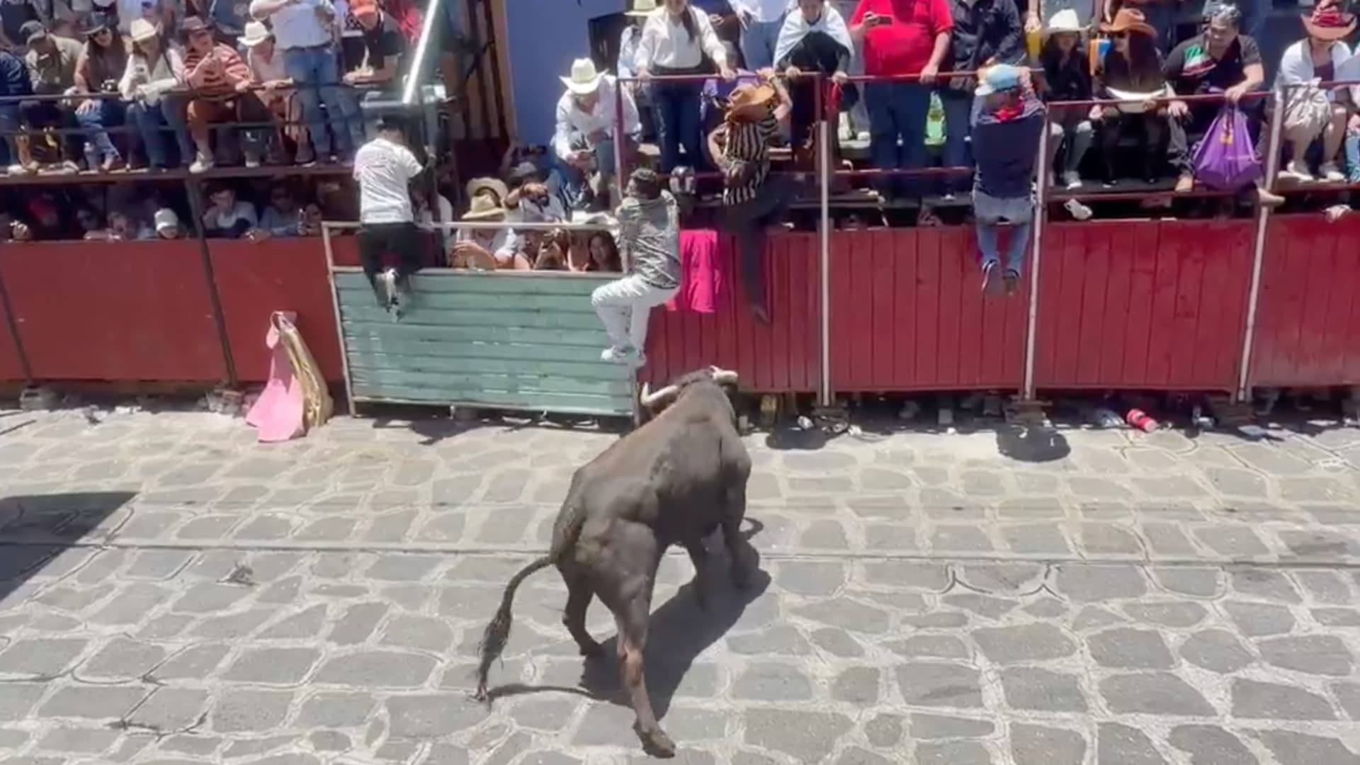 Una Persona Termina Cornada Durante 'La Capea de Toros' en Xico, Veracruz