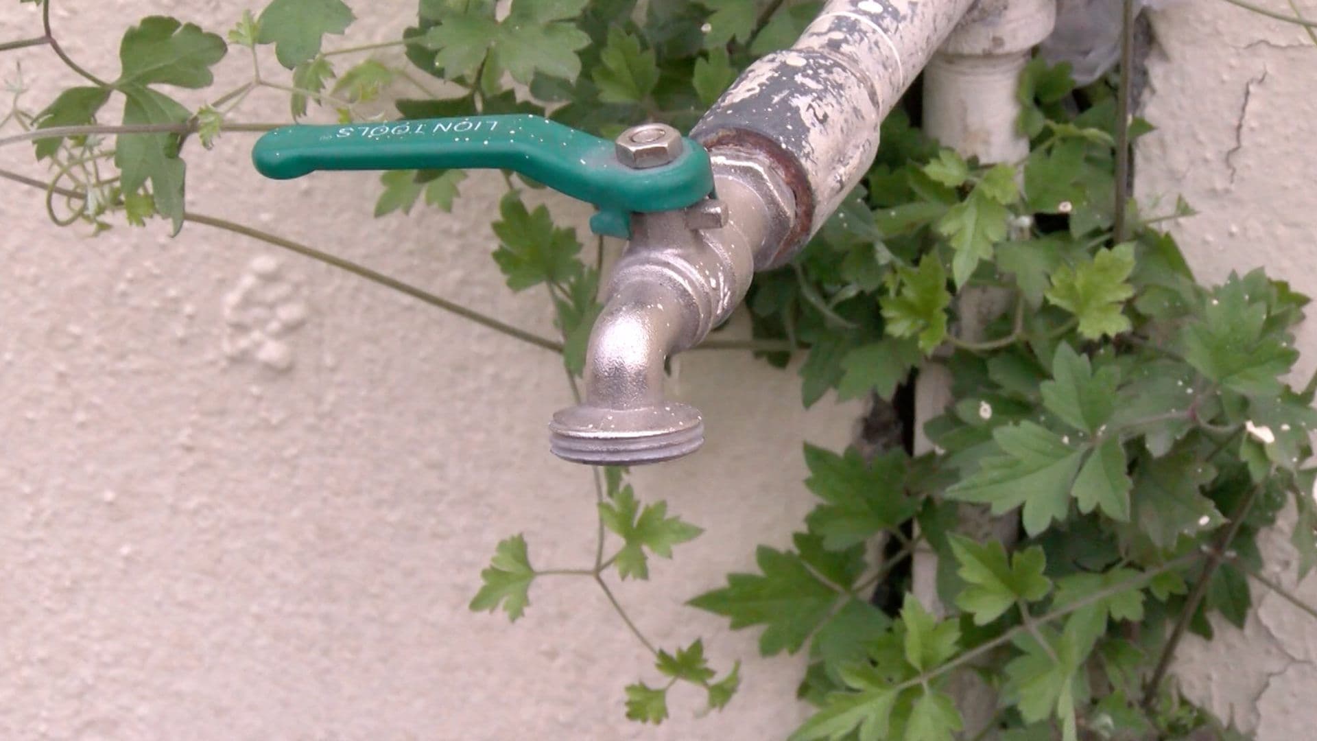Grifo de agua