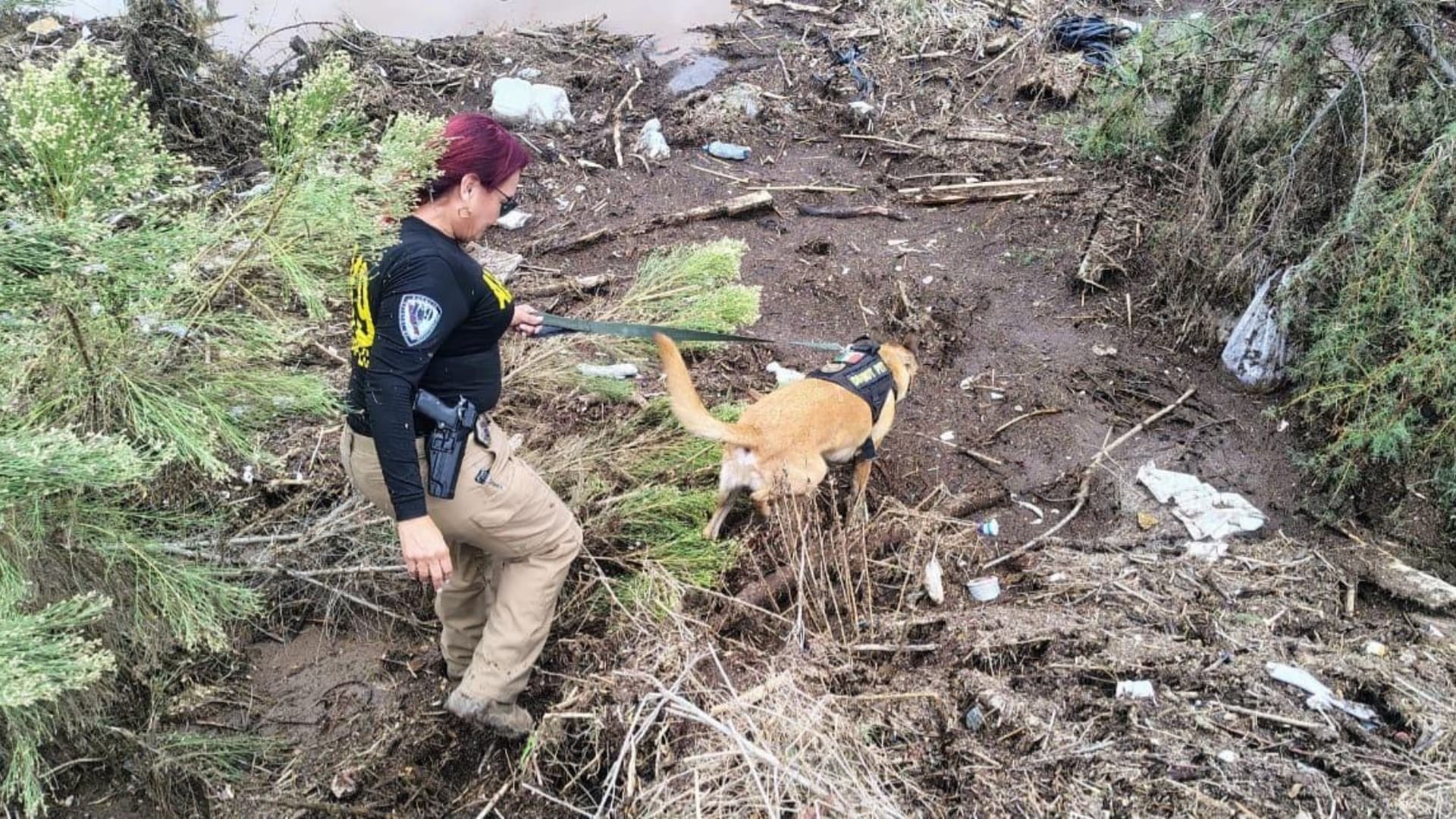 Localizan Sin Vida a Cuatro Personas de una Familia Tras Tormenta Rachel en Ensenada