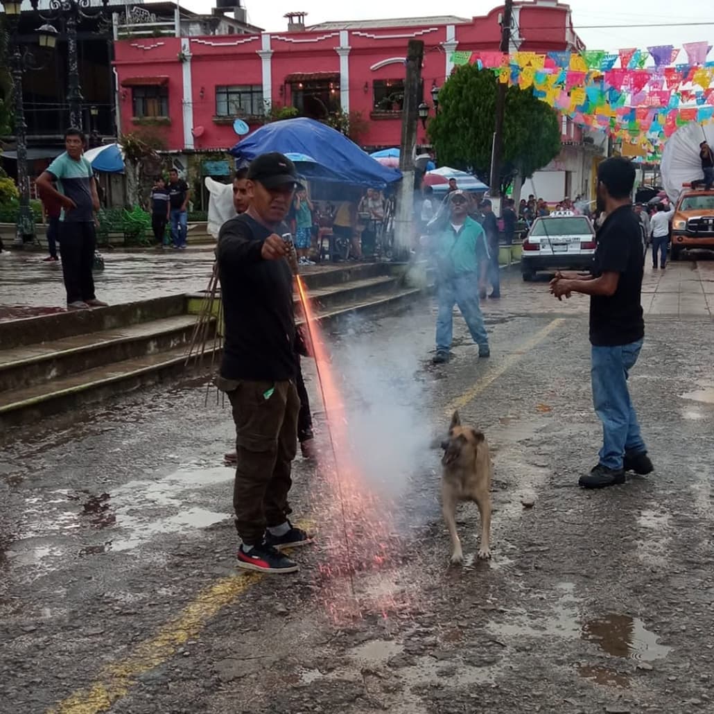 El perro Cuetes era querido por todo Yajalón, Chiapas