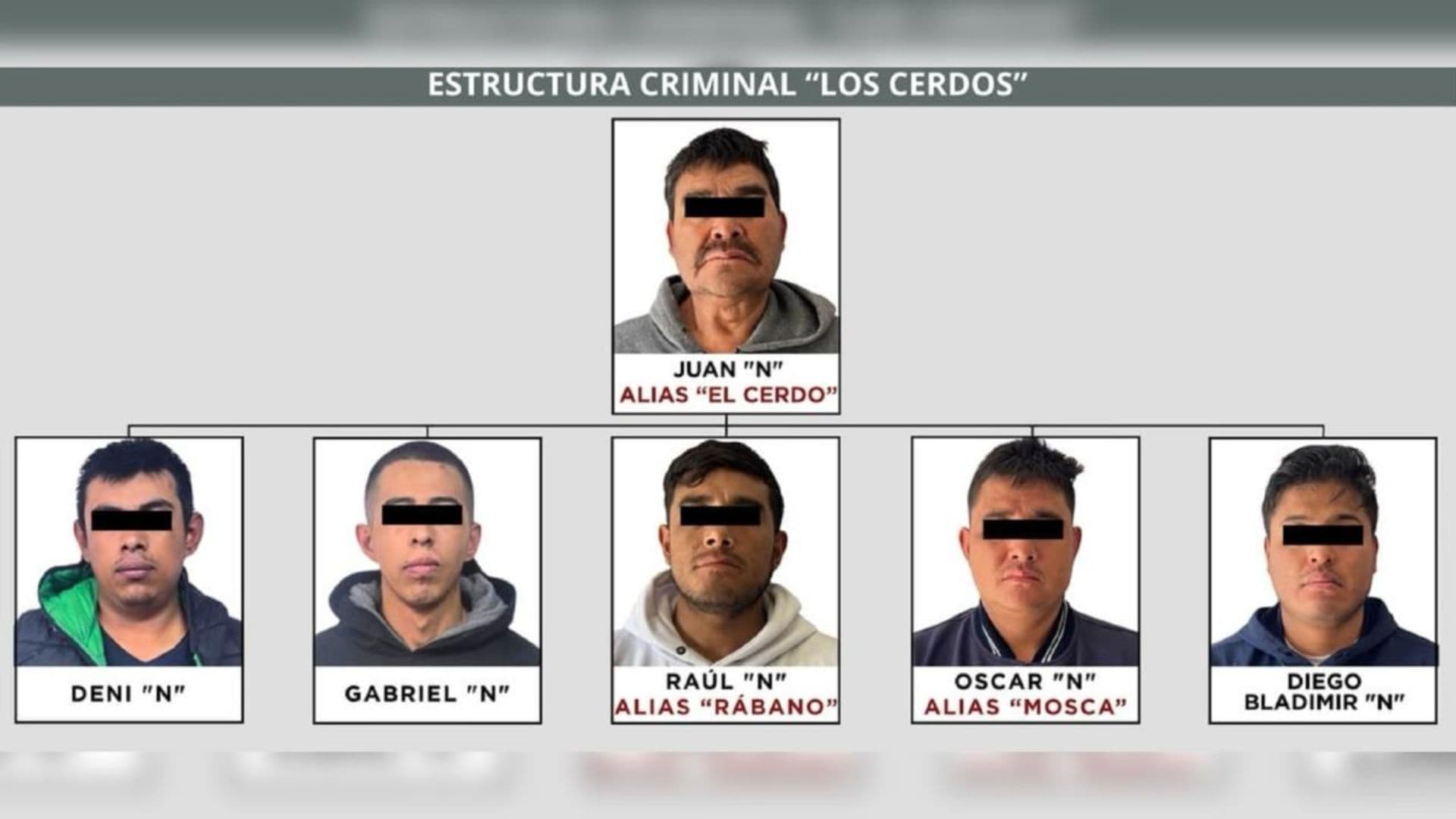 Integrantes del grupo delictivo 'Los Cerdos'