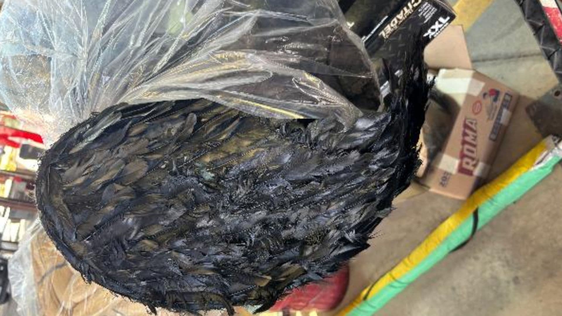 Aseguran Disfraces Elaborados con Partes de Aves en Frontera de Nogales, Sonora
