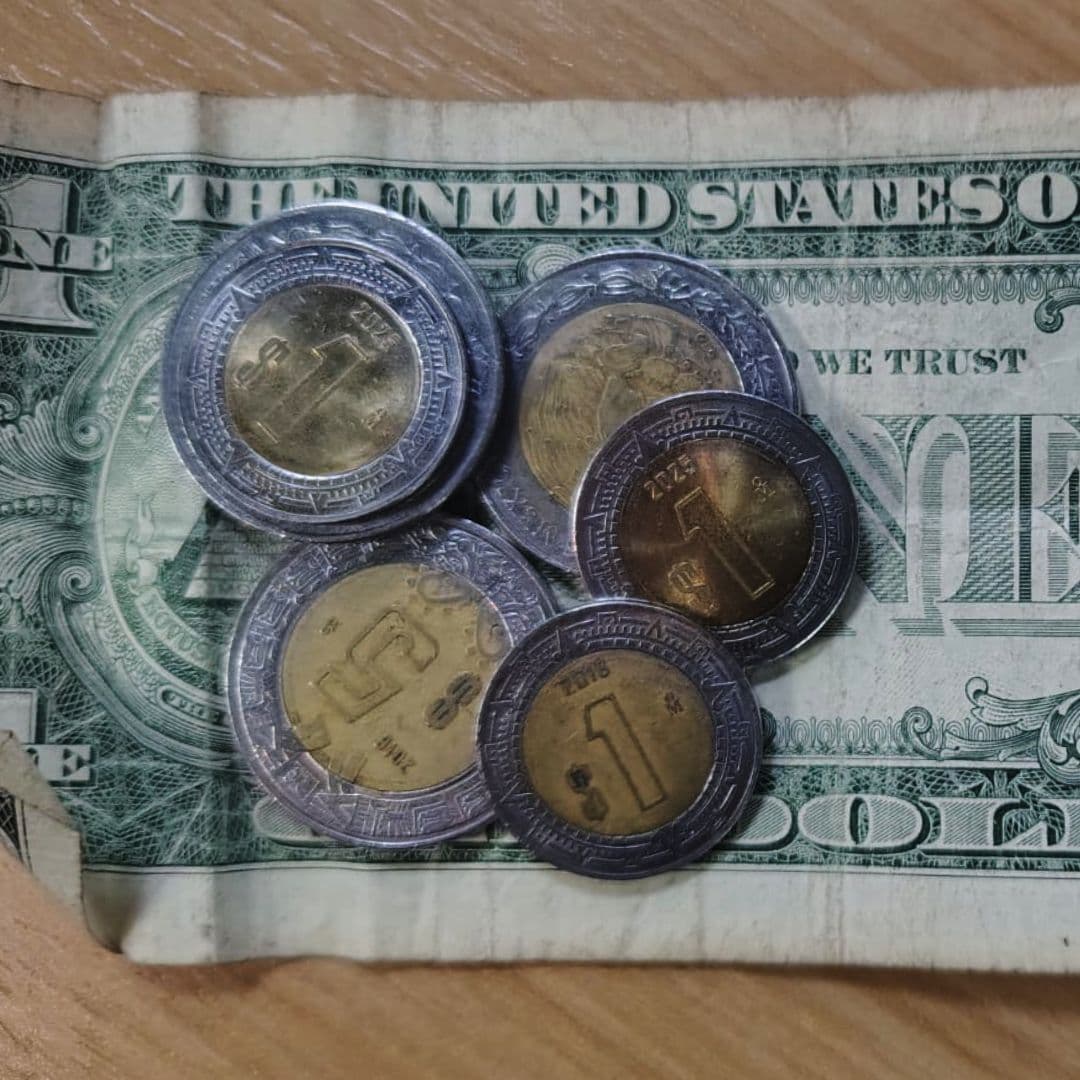 ¿Cómo Está el Tipo de Cambio Peso-Dólar? Así Cotiza la Moneda Mexicana
