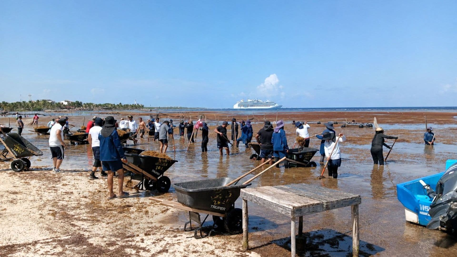 Sargazo en Cancún