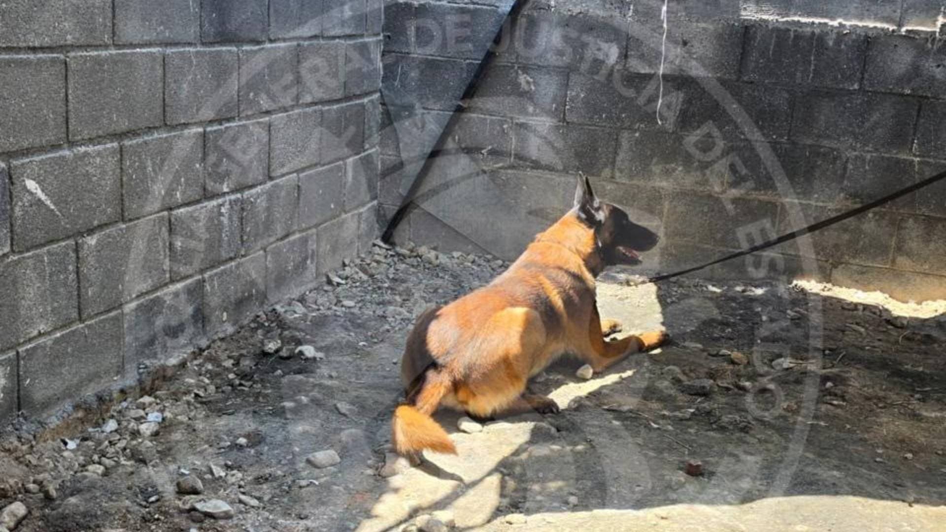 Autoridades encuentran cuerpo sin vida en Casa de Garcia, NL
