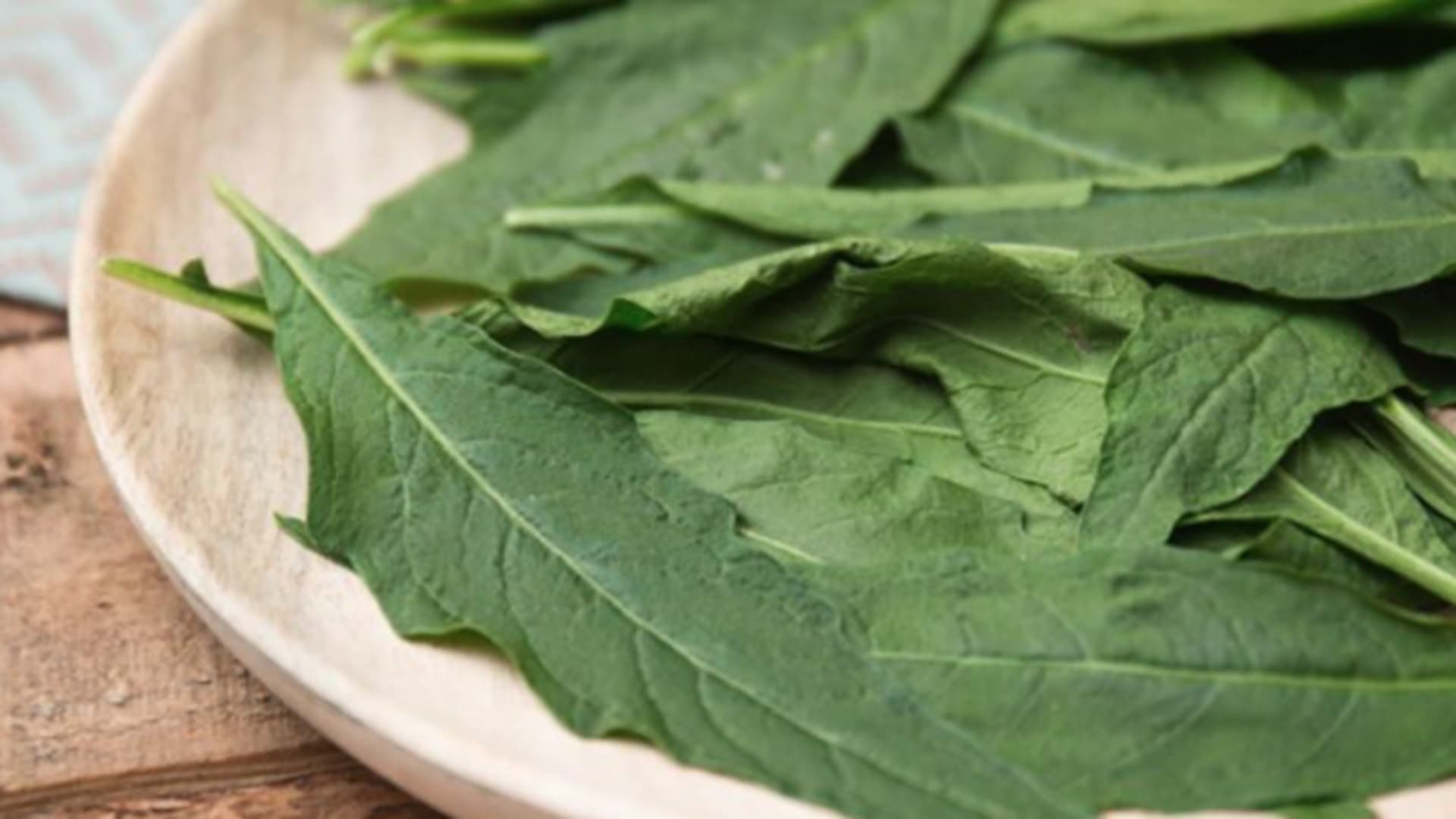 Epazote para Eliminar Parásitos Intestinales: Así Puedes Usar la Planta Tradicional de México