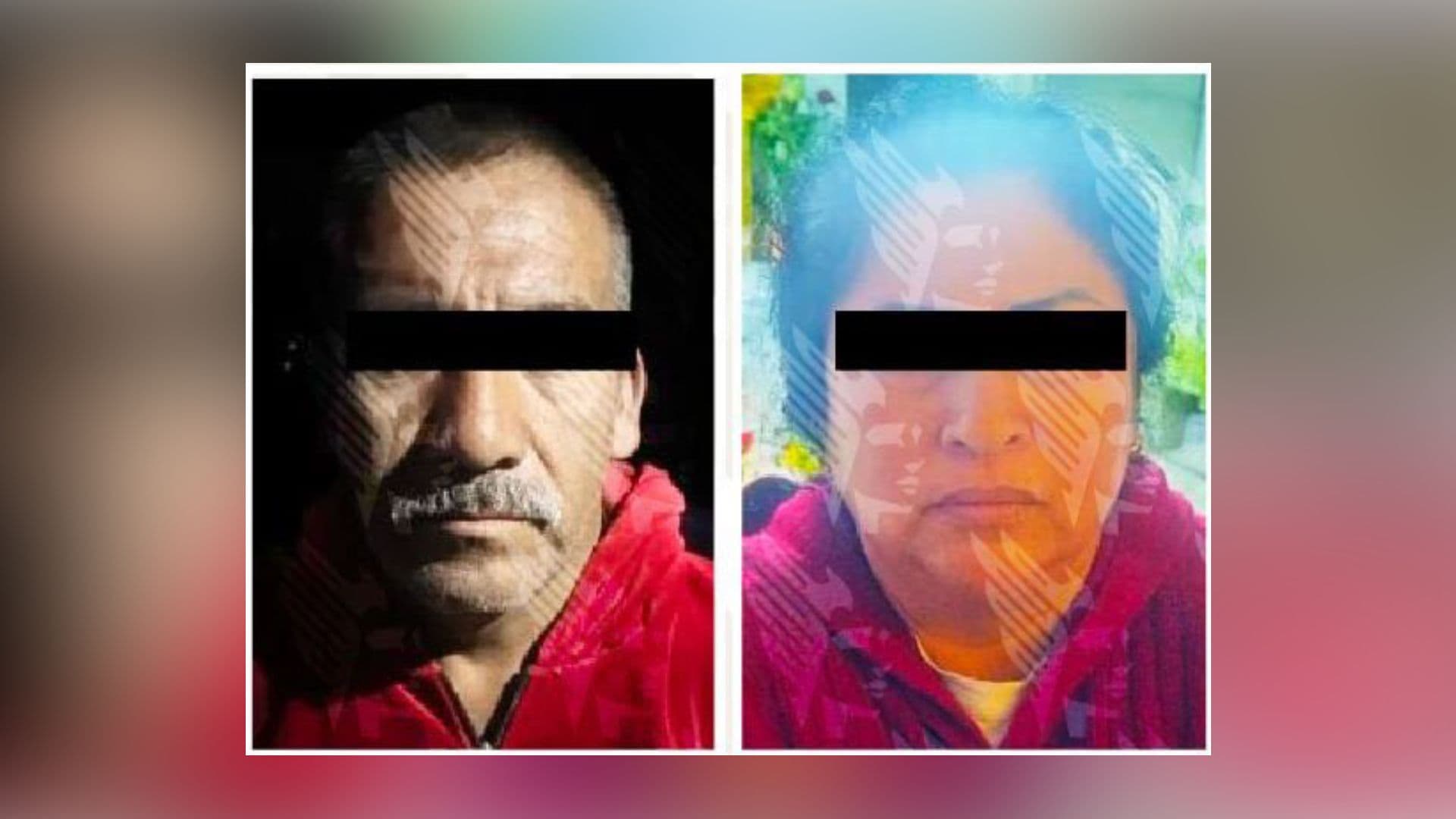 En el operativo participaron elementos de Guardia Nacional y Defensa.