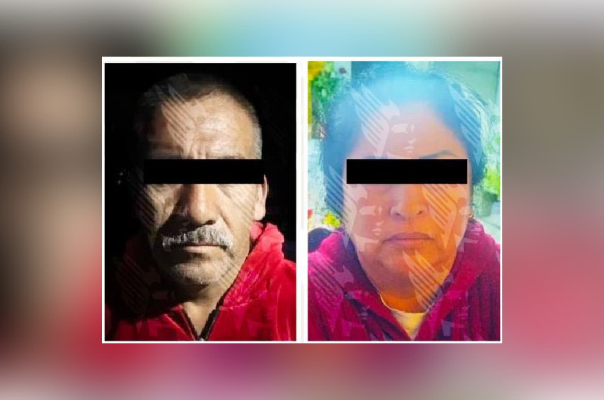 En el operativo participaron elementos de Guardia Nacional y Defensa.
