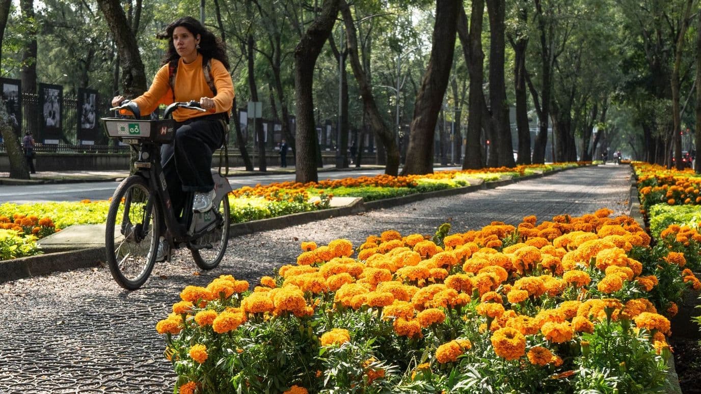 Checa Qué Evento Hay en Reforma Desde Hoy por Día de Muertos 2026