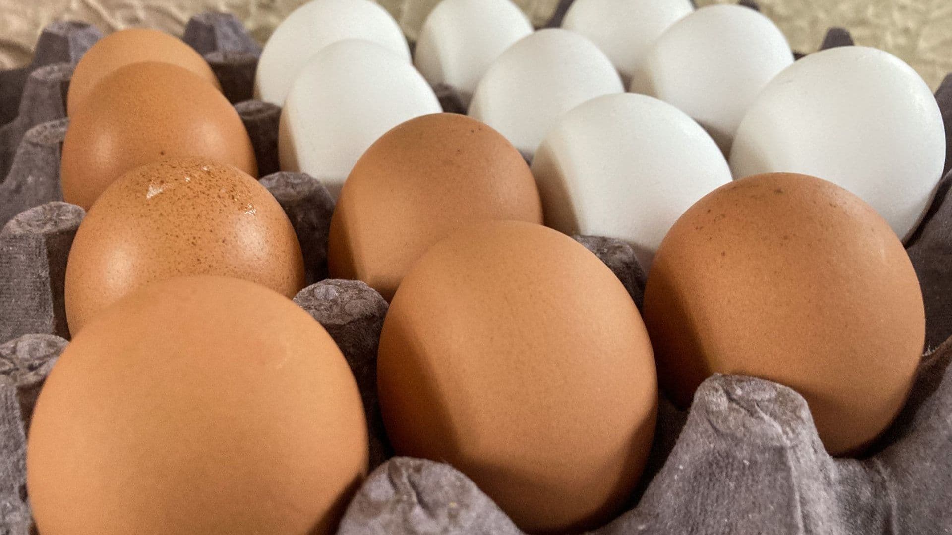 La clave está en el sello de los huevos. Foto: Cuartoscuro