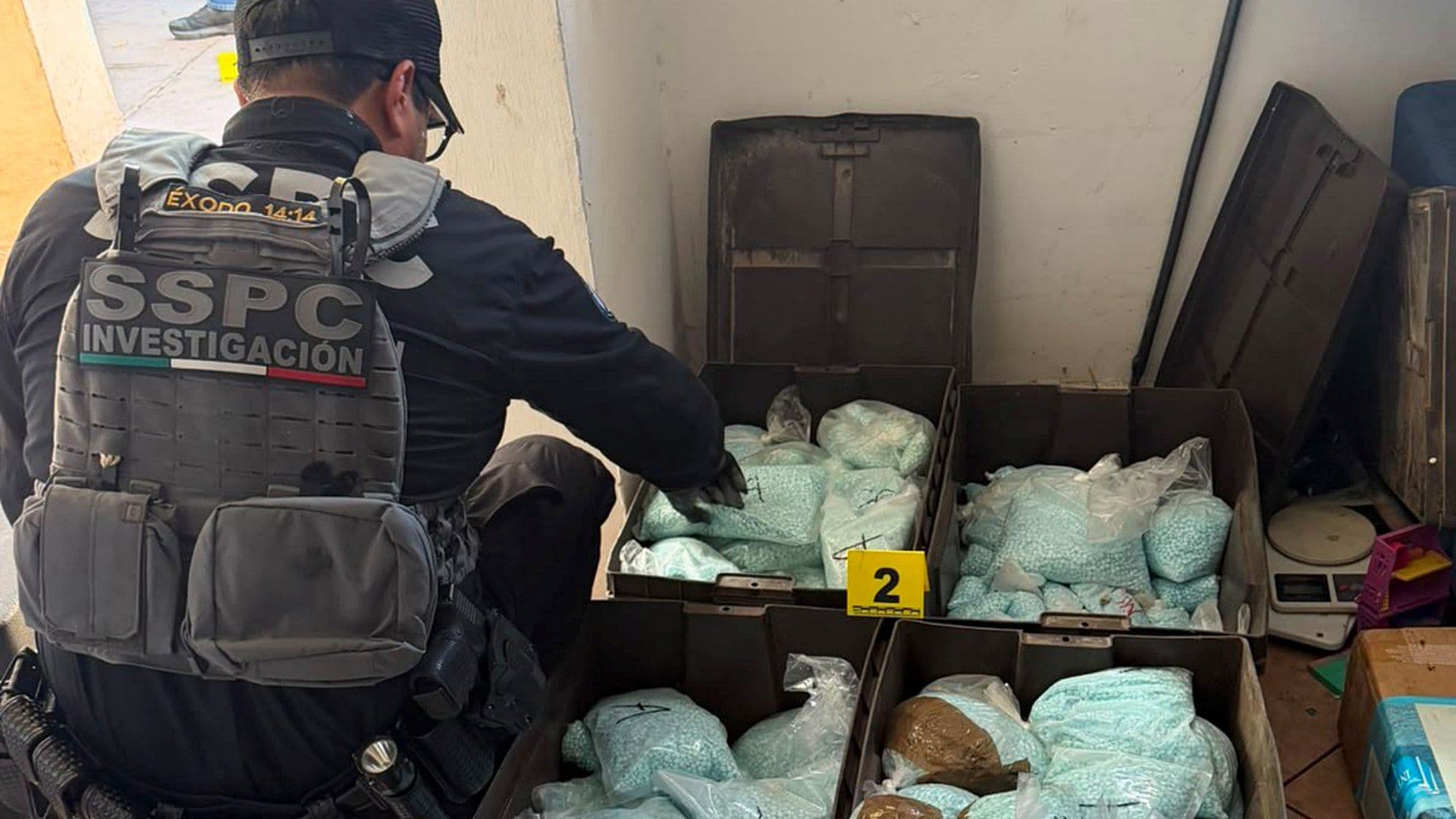 Golpe a 'Los Rusos' con Apoyo de la DEA: García Harfuch Informa Decomiso de Fentanilo