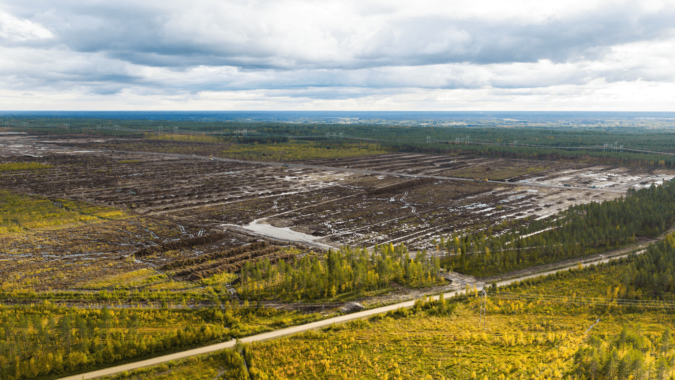 Tala de árboles en el norte de Finlandia en sitio destinado a centro de datos