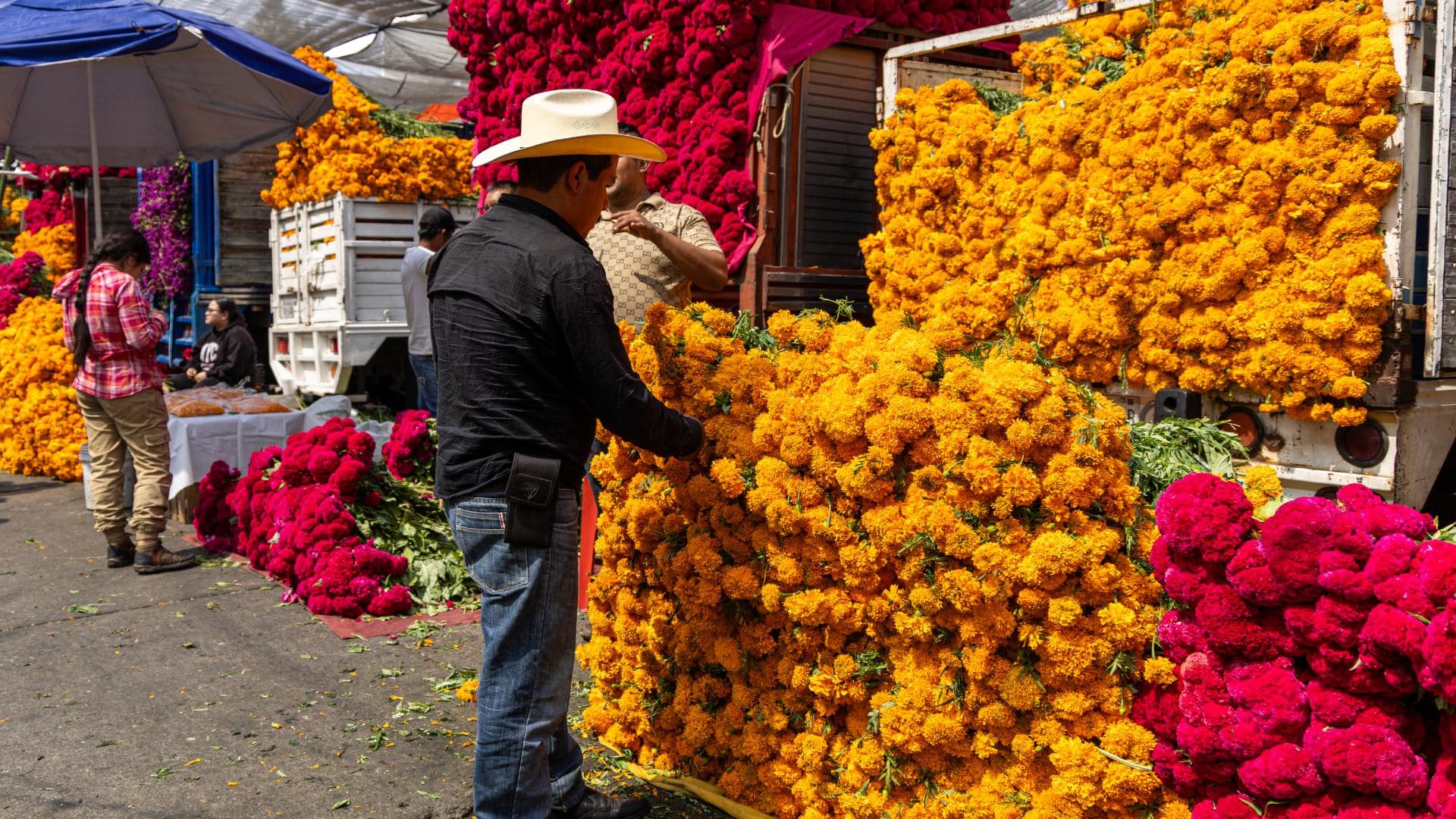 Venta de flor de Cempasúchil