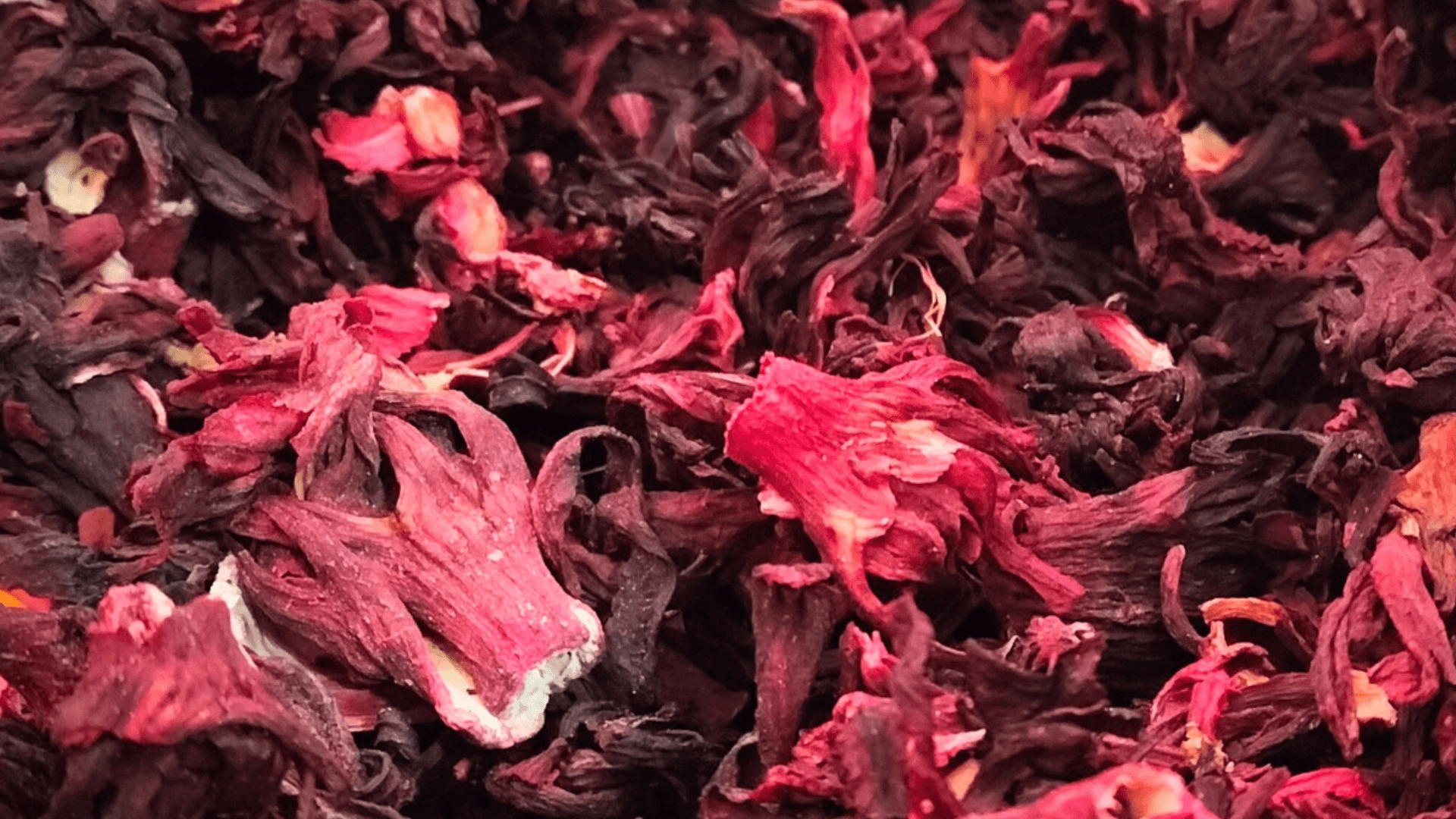 Flor de Jamaica
