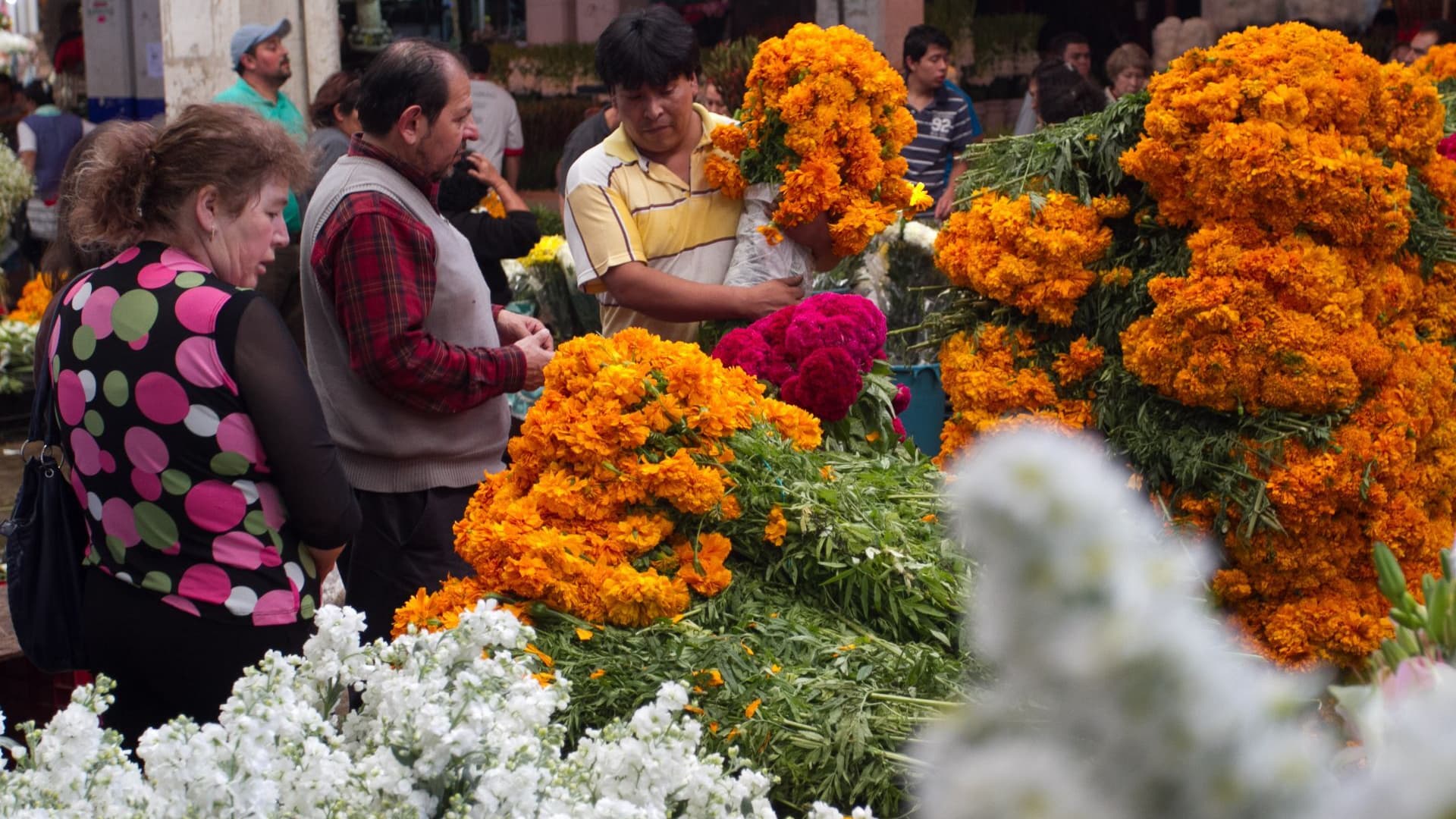 Flores de Día de Muertos: Qué Significan el Cempasúchil, la Nube y el Terciopelo