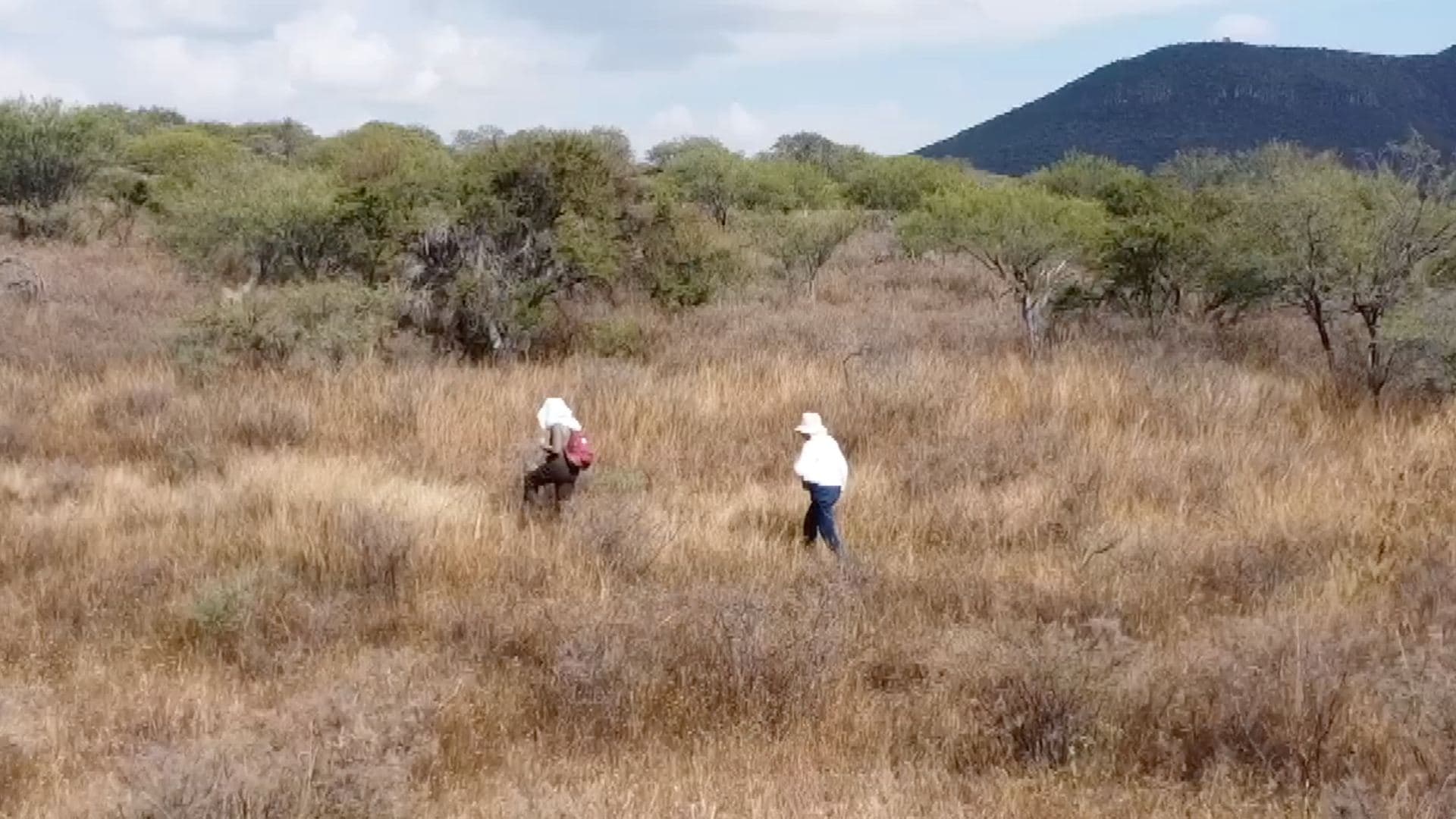 Desaparecidos