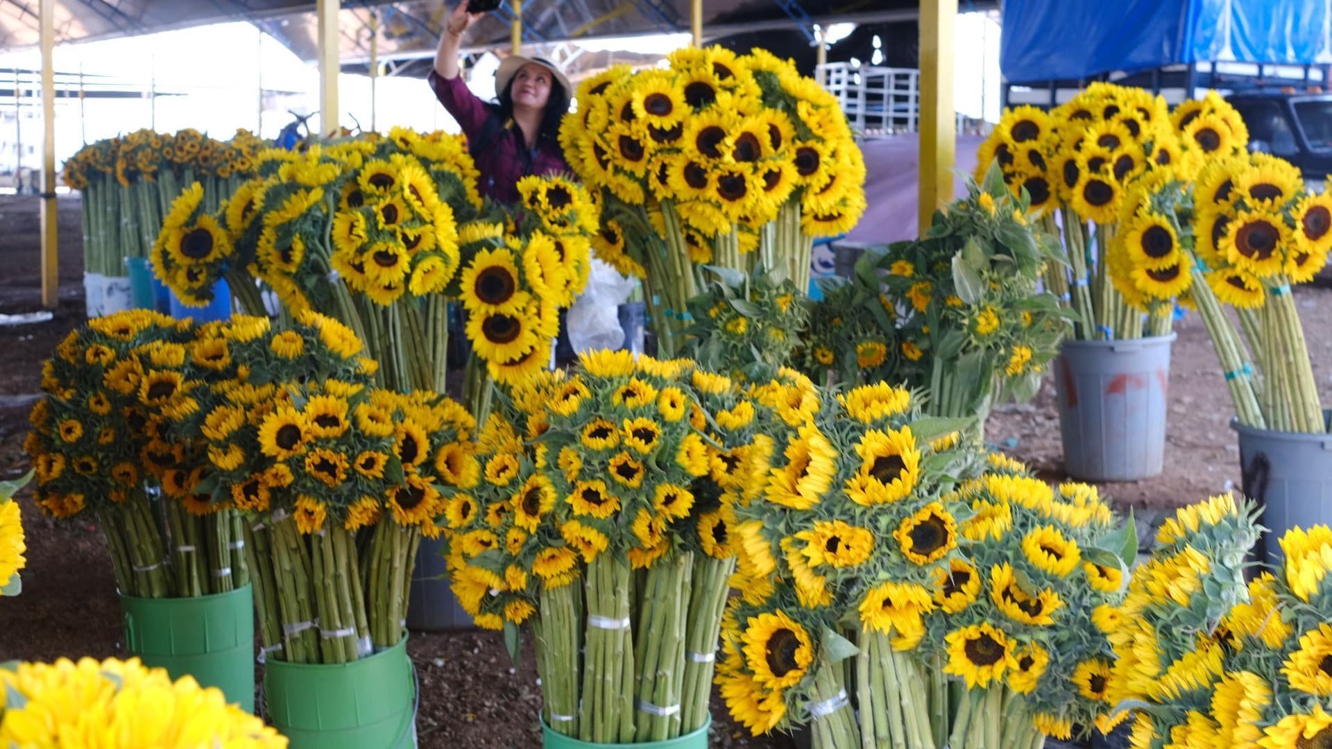 Checa 30 Frases Bonitas para Regalar Flores Amarillas y Desear un Feliz Día