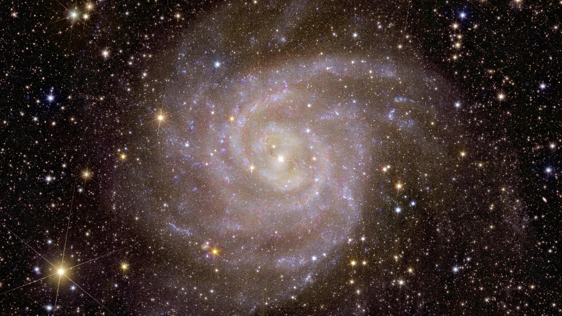 Galaxia fotografiada por Euclid