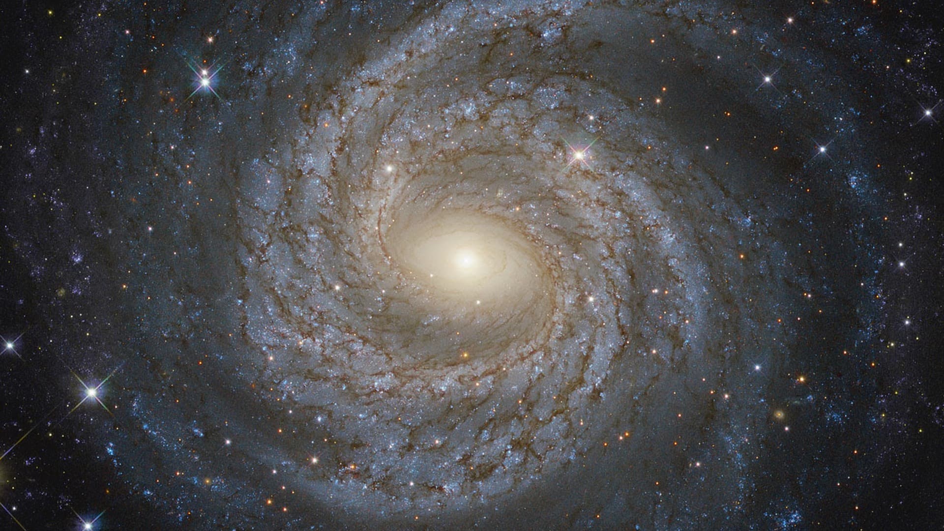 Fotografía de una galaxia semejante a la Vía Láctea