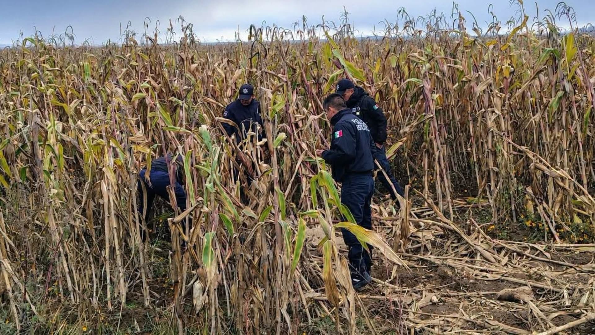 Hallazgo Cuerpo Muerto Baleado Carretera Teziutlán Virreyes Tlatlauquitepec Puebla